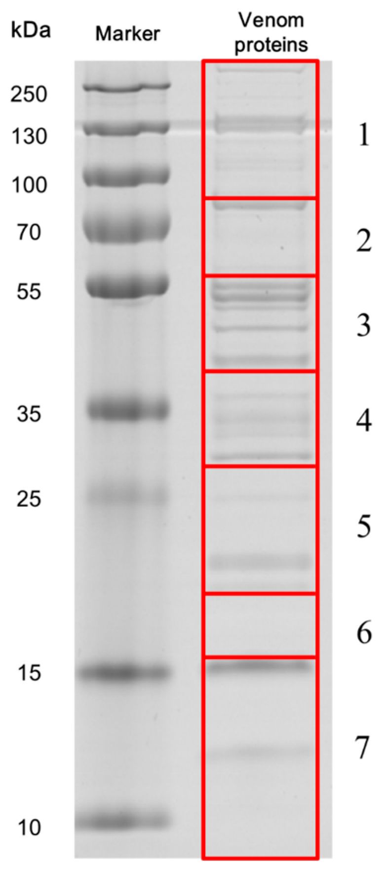 Toxins 09 00135 g001