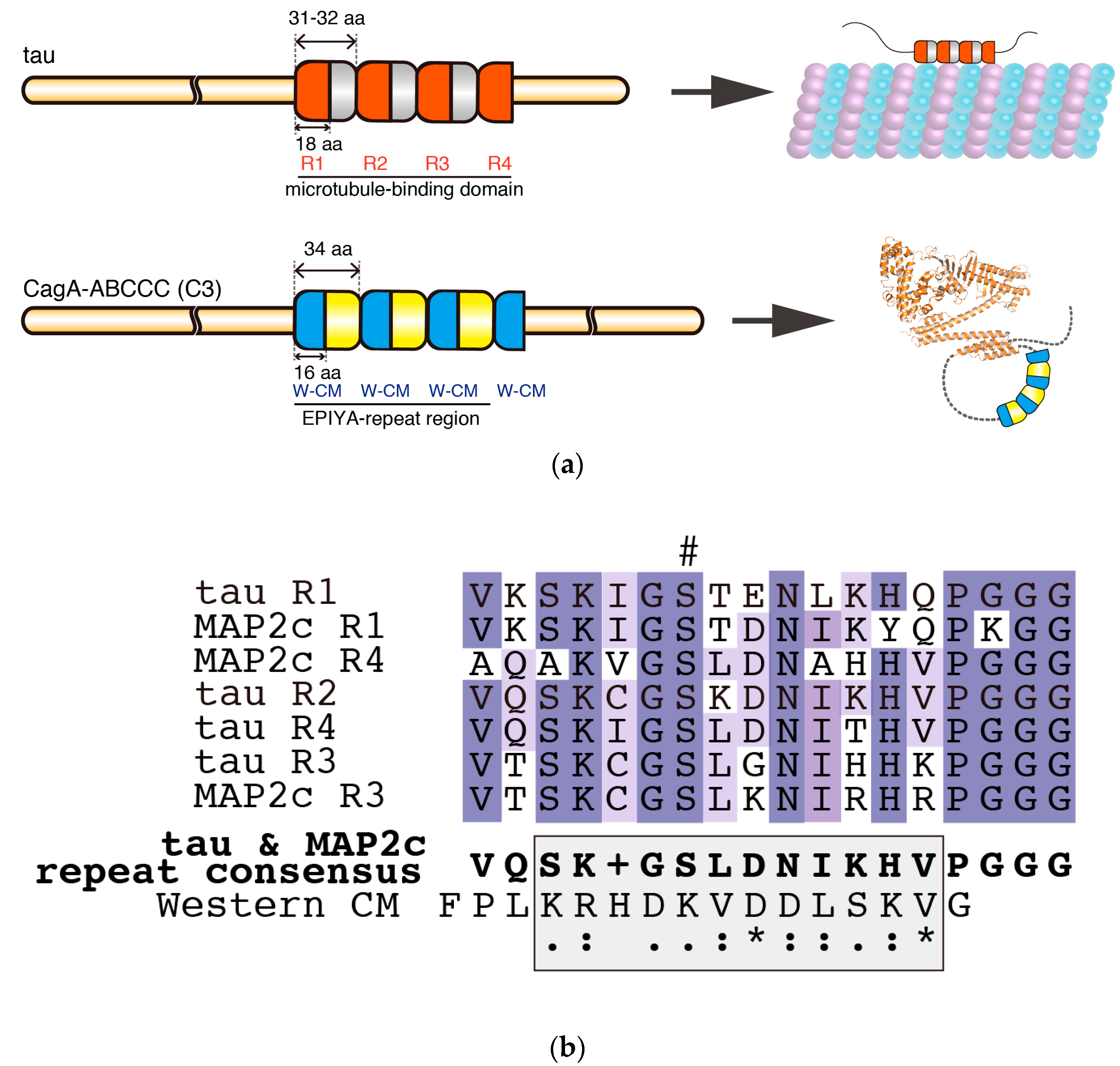 Toxins 09 00136 g003