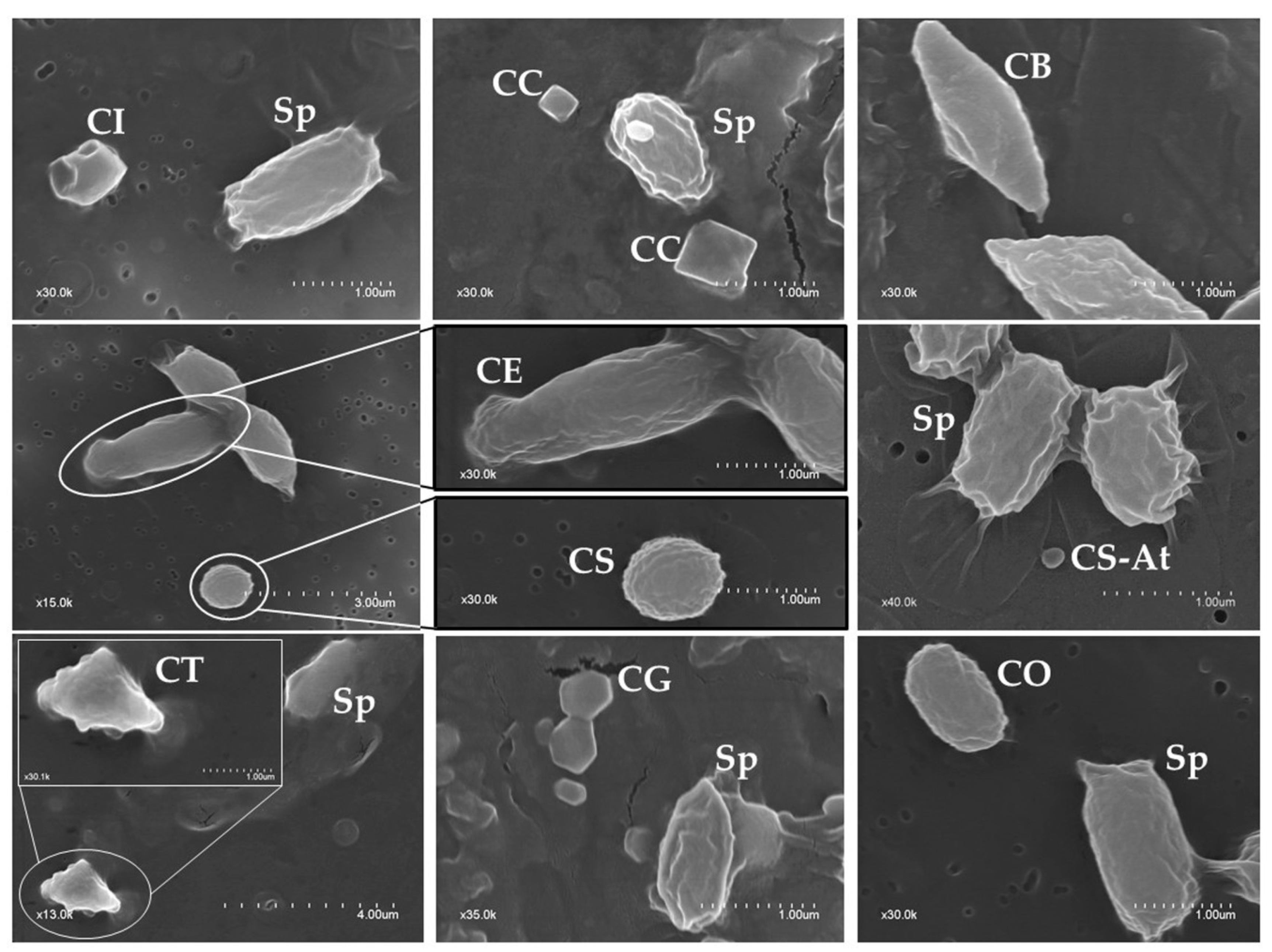Toxins 09 00139 g002
