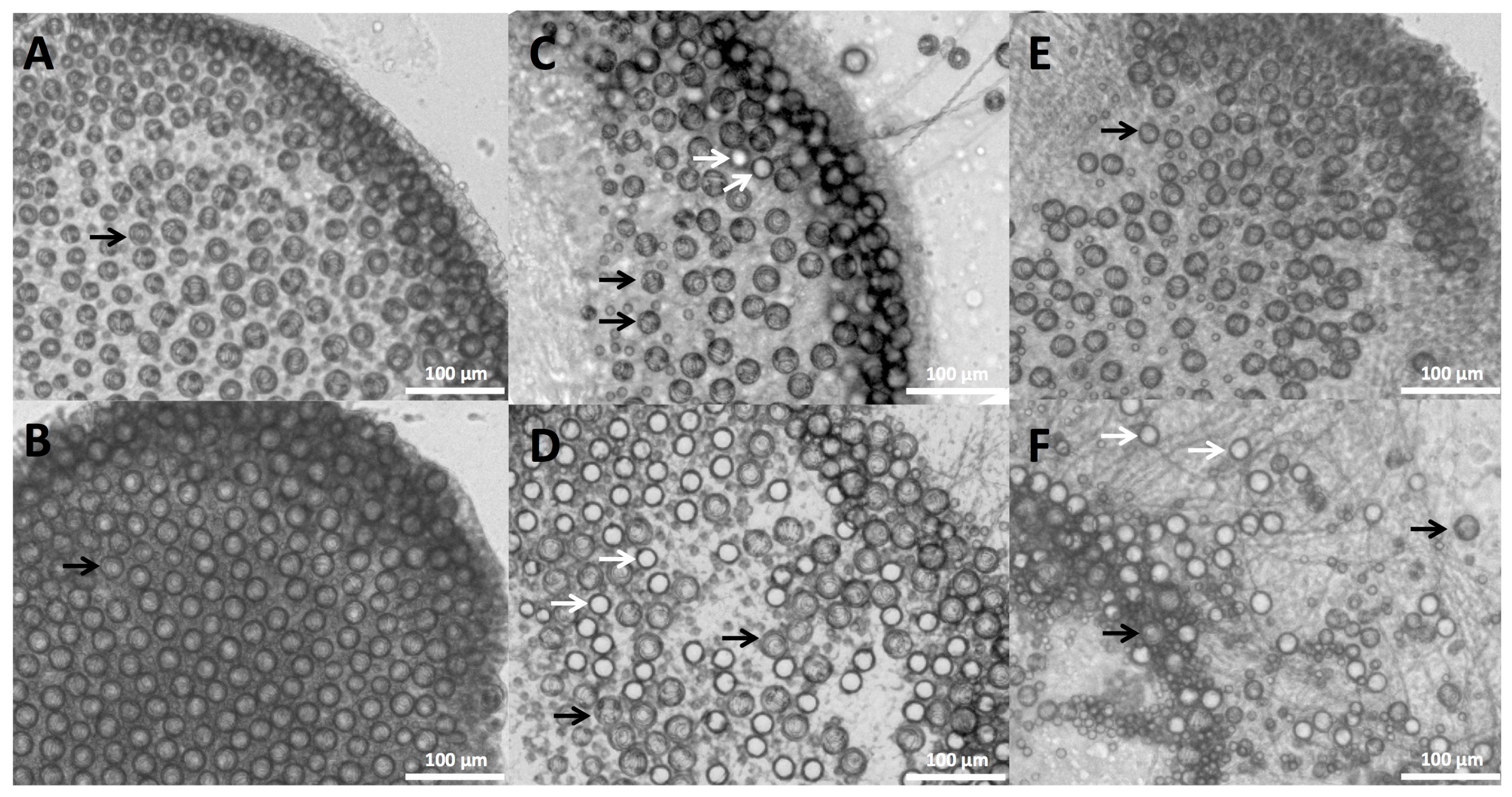 Toxins 09 00149 g002