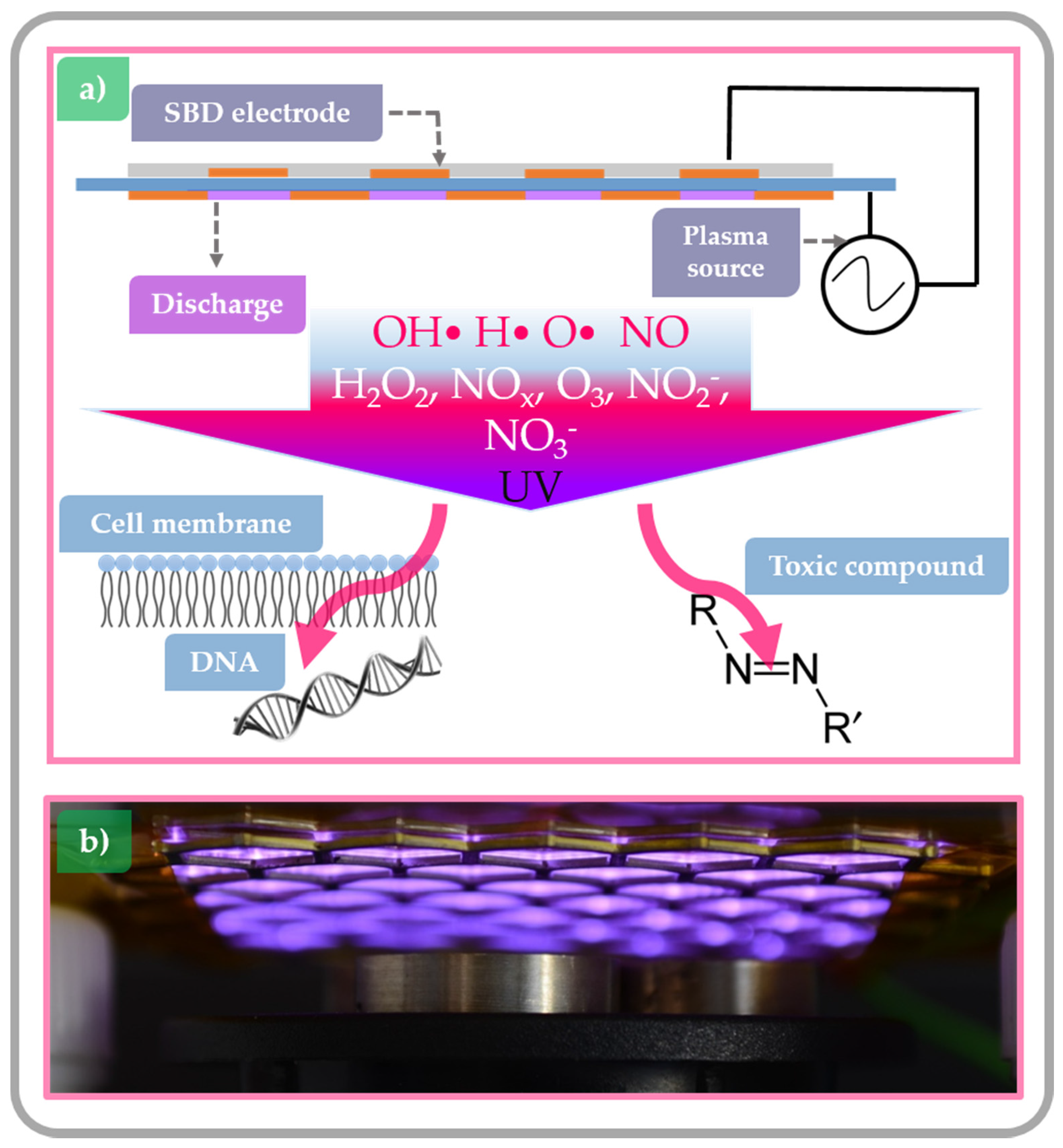 Toxins 09 00151 g002