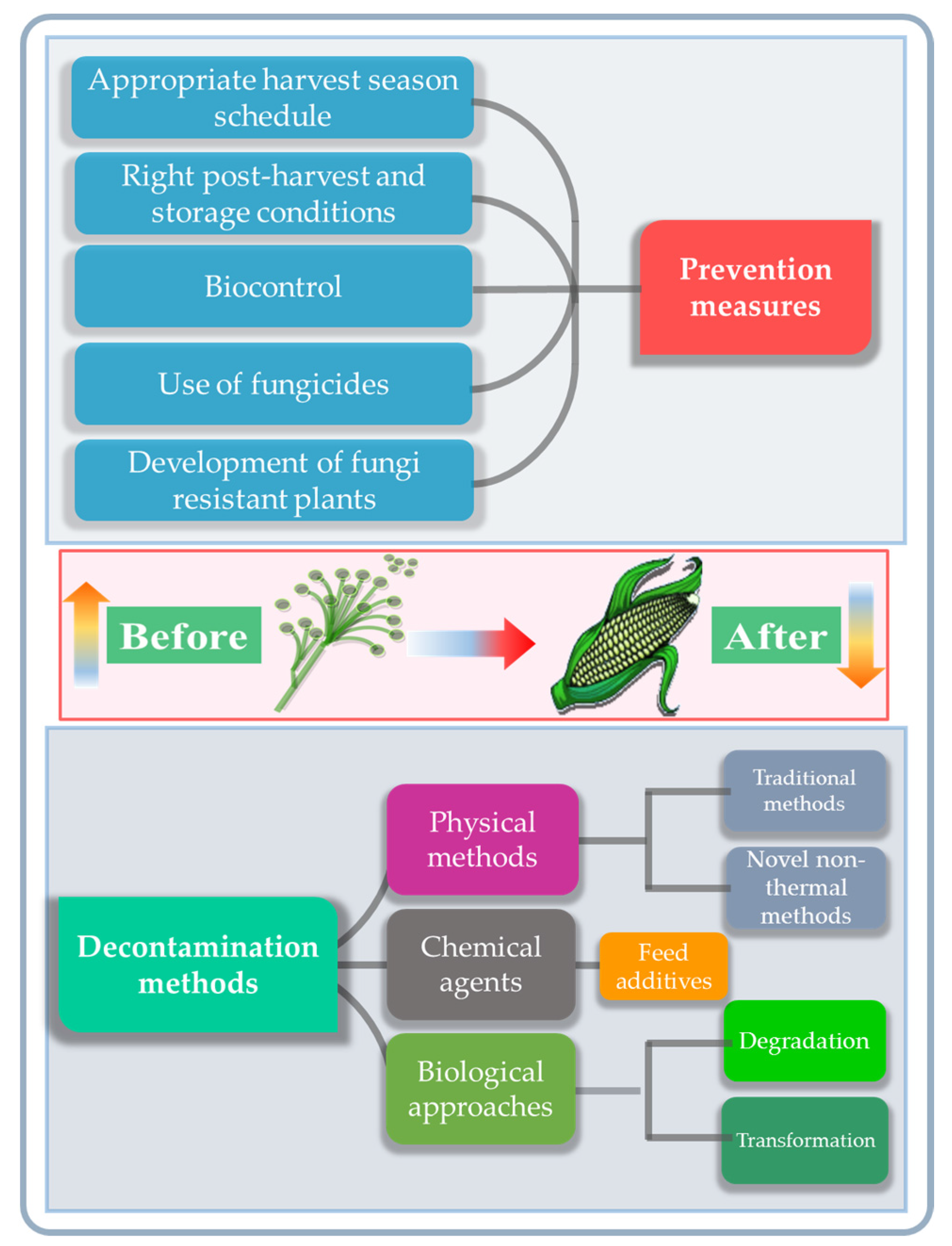 Toxins 09 00151 g004