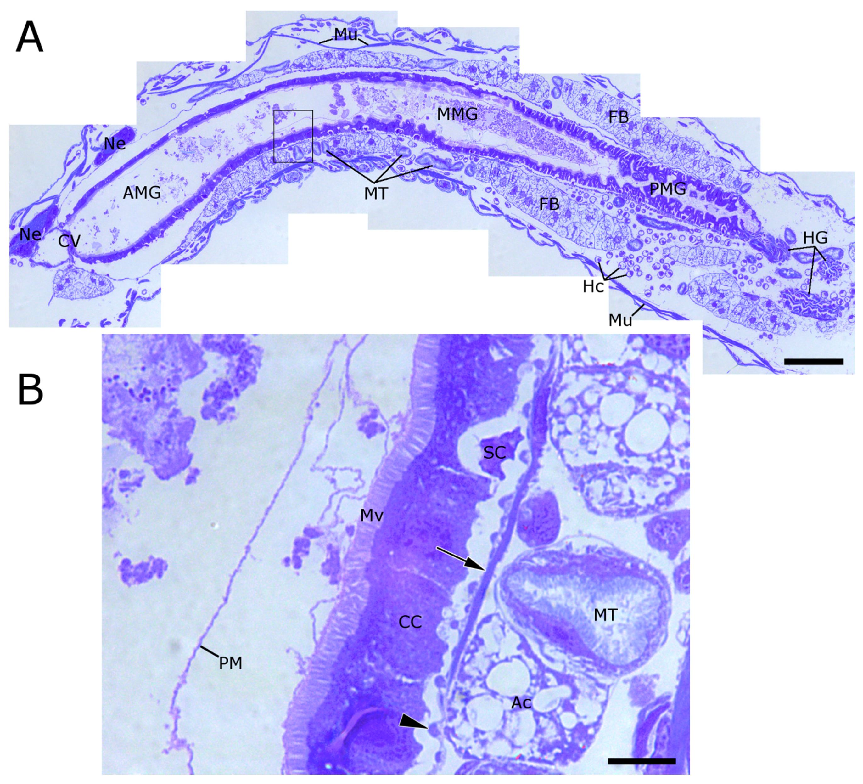Toxins 09 00156 g001