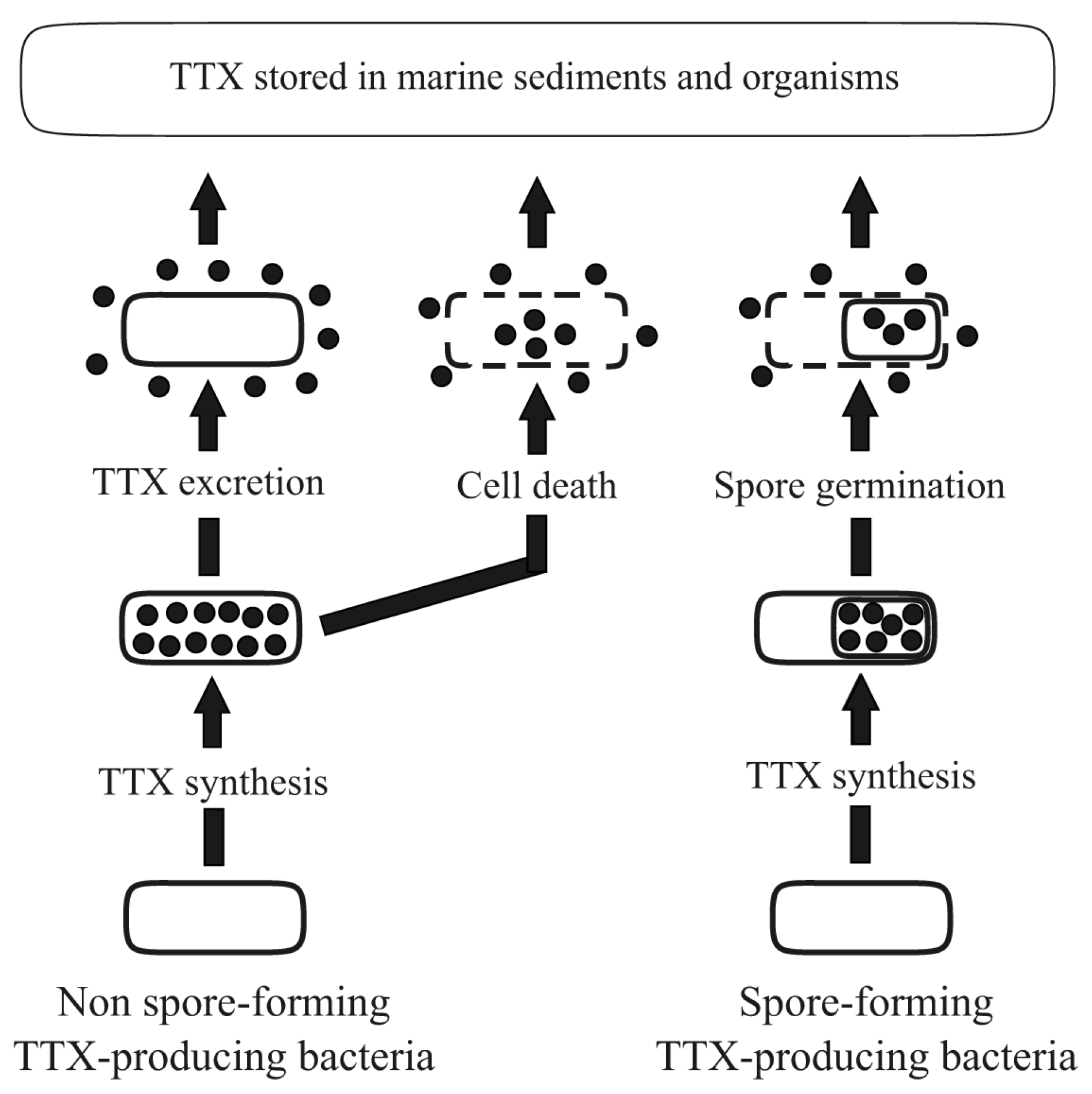 Toxins 09 00166 g002