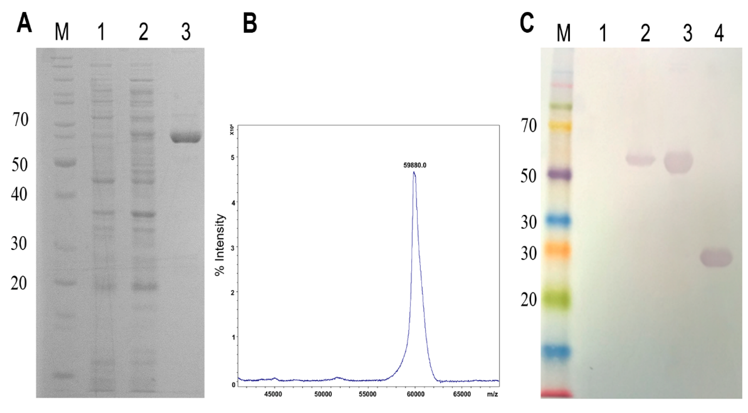 Toxins 09 00191 g001