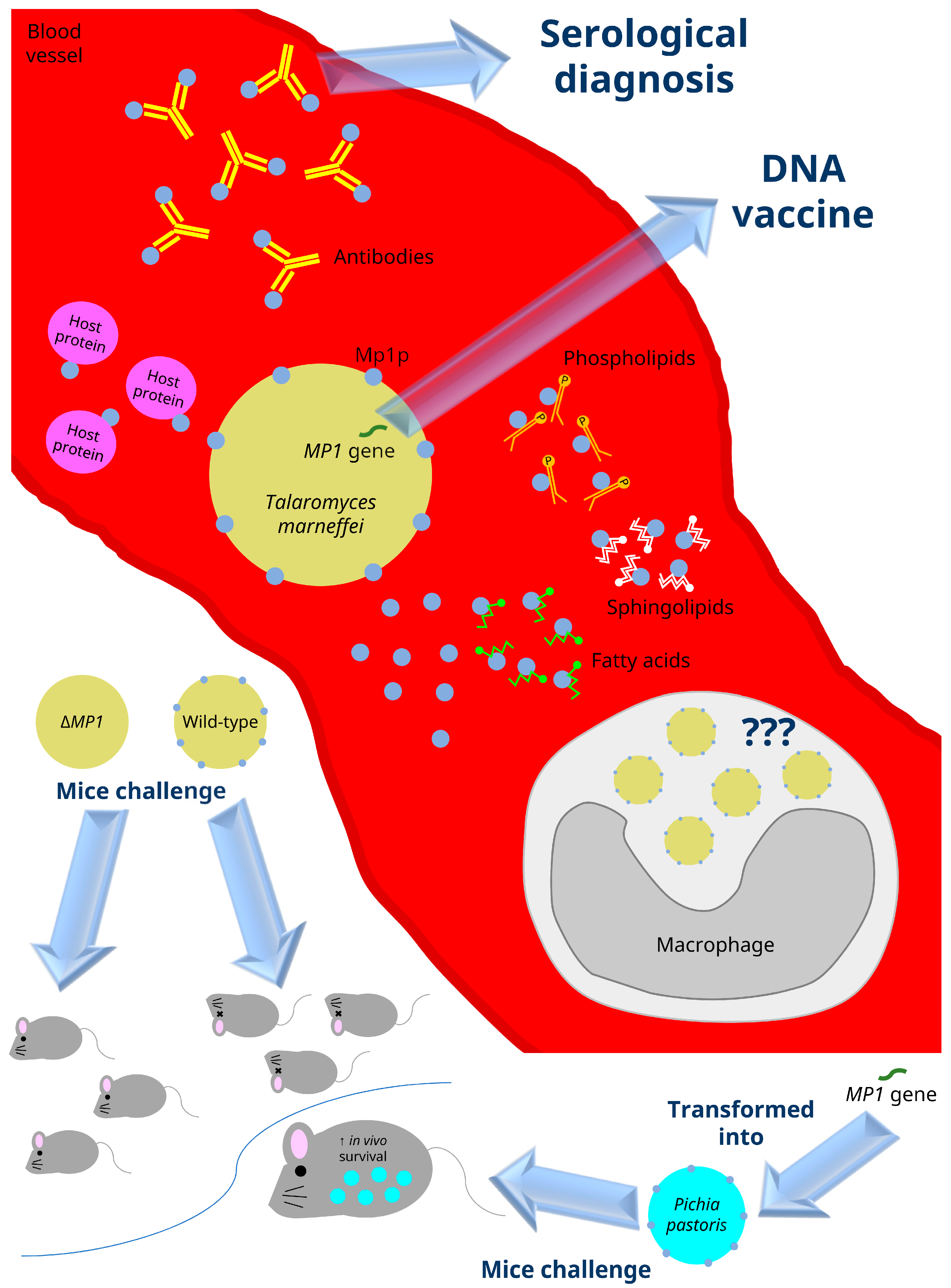 Toxins 09 00192 g003