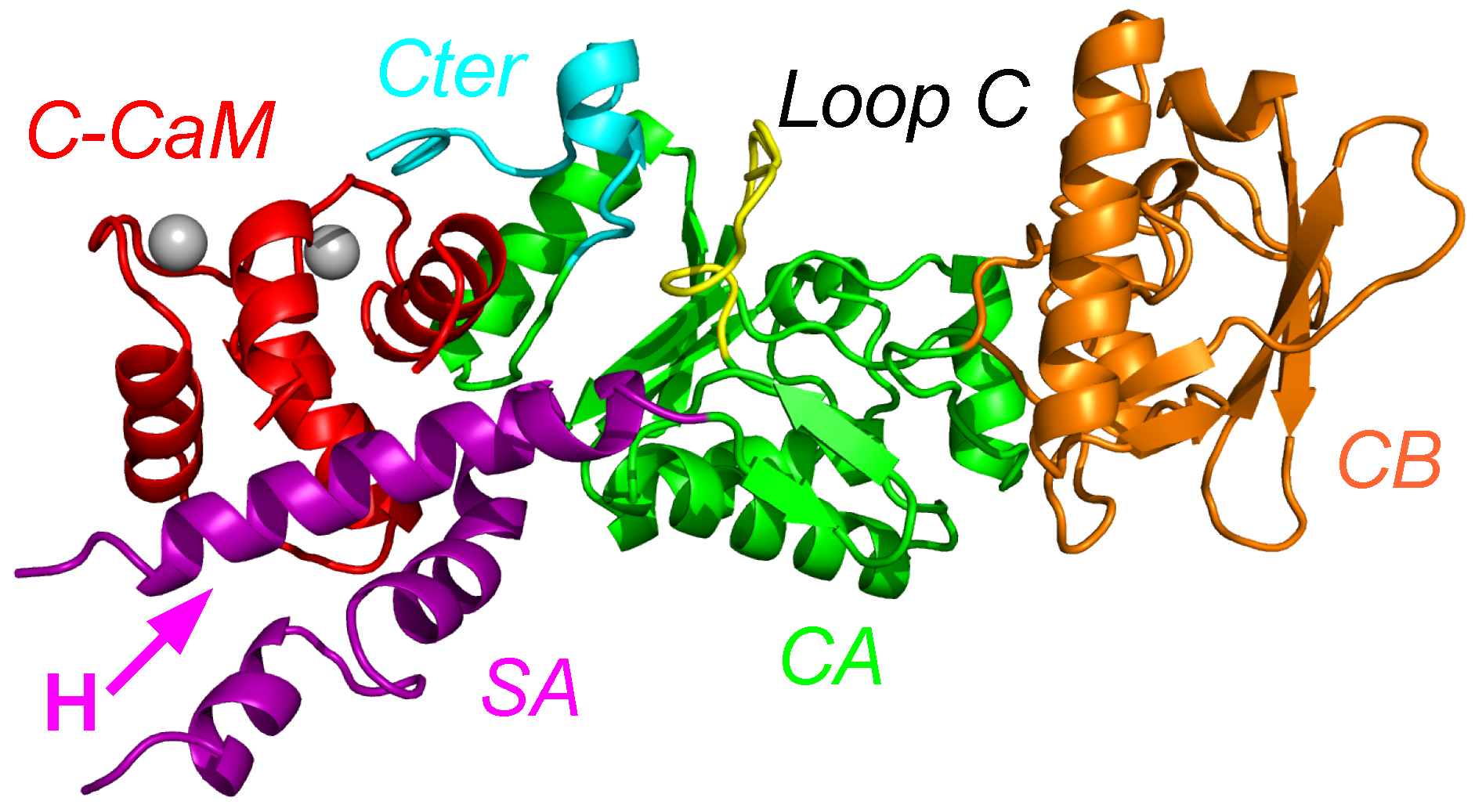 Toxins 09 00199 g001