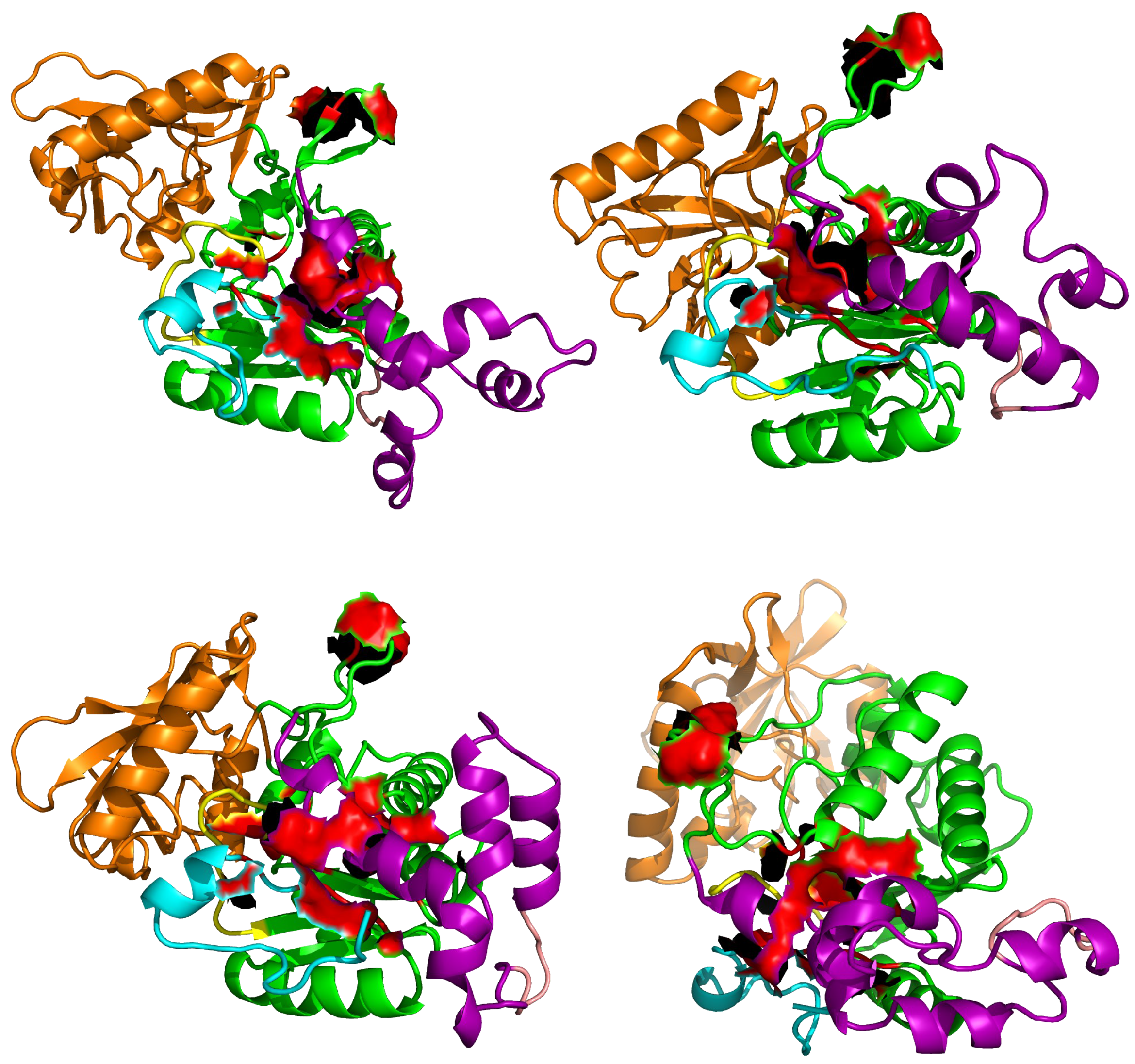 Toxins 09 00199 g008