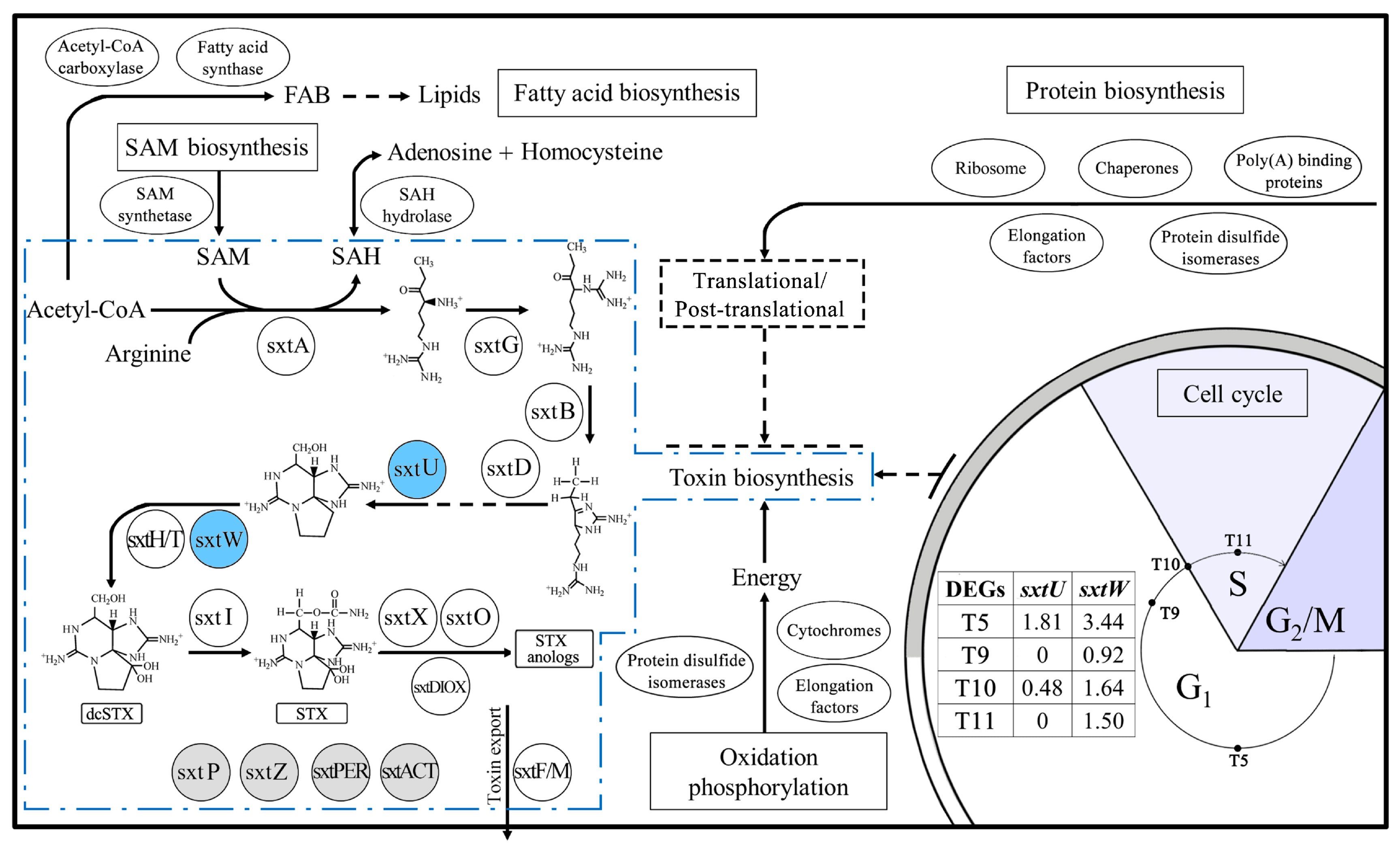 Toxins 09 00213 g004