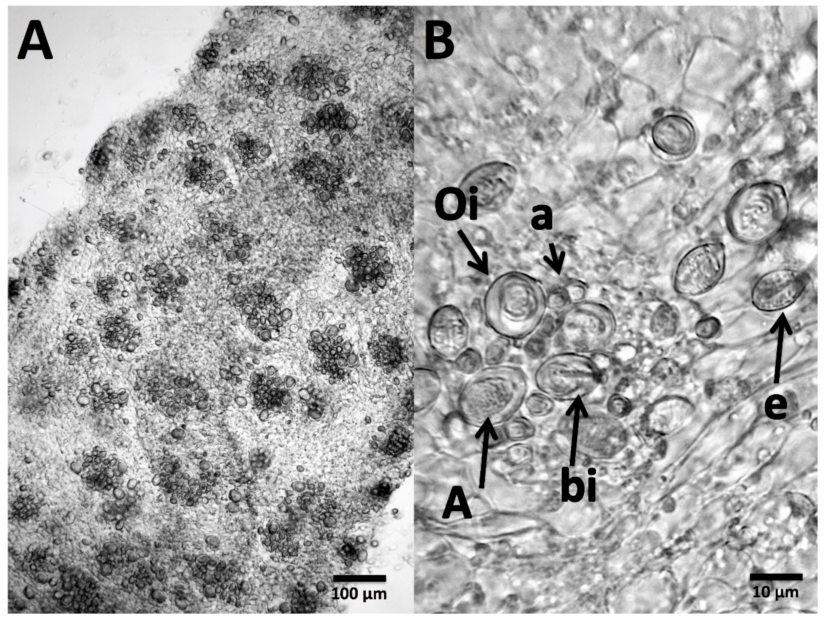 Toxins 09 00215 g001