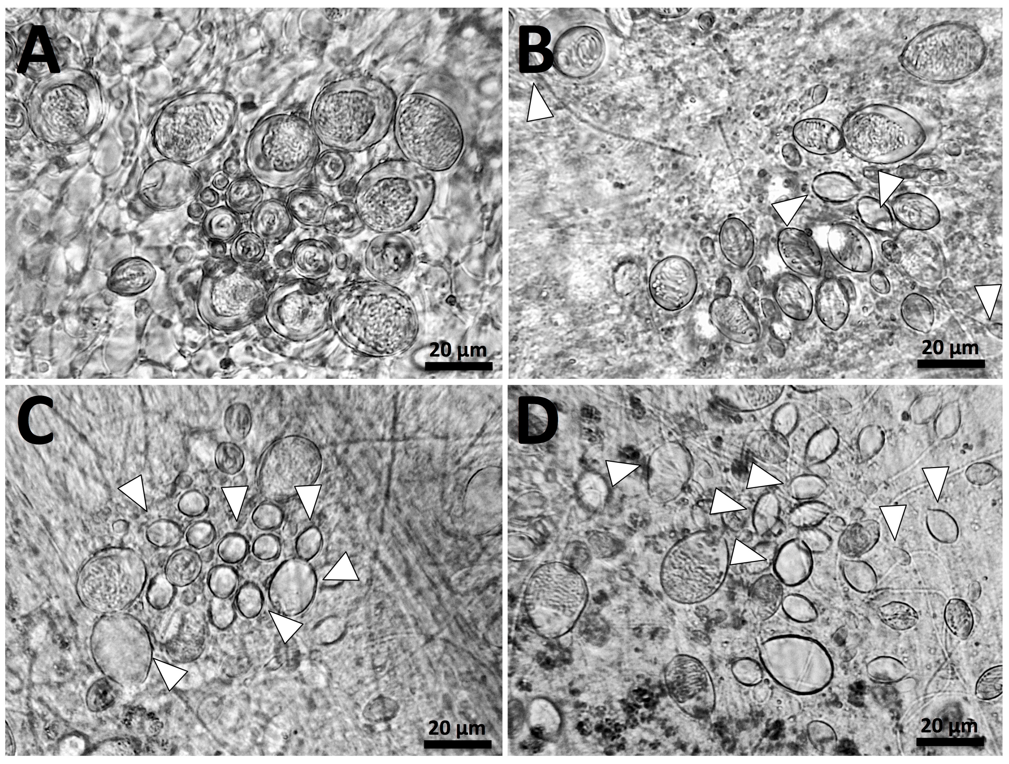 Toxins 09 00215 g002