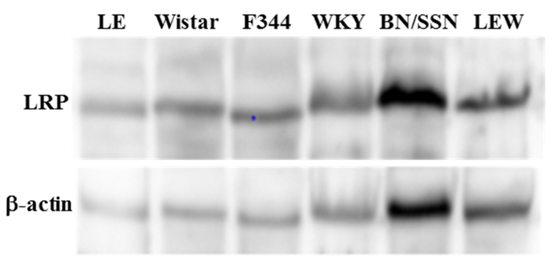 Toxins 09 00224 g001