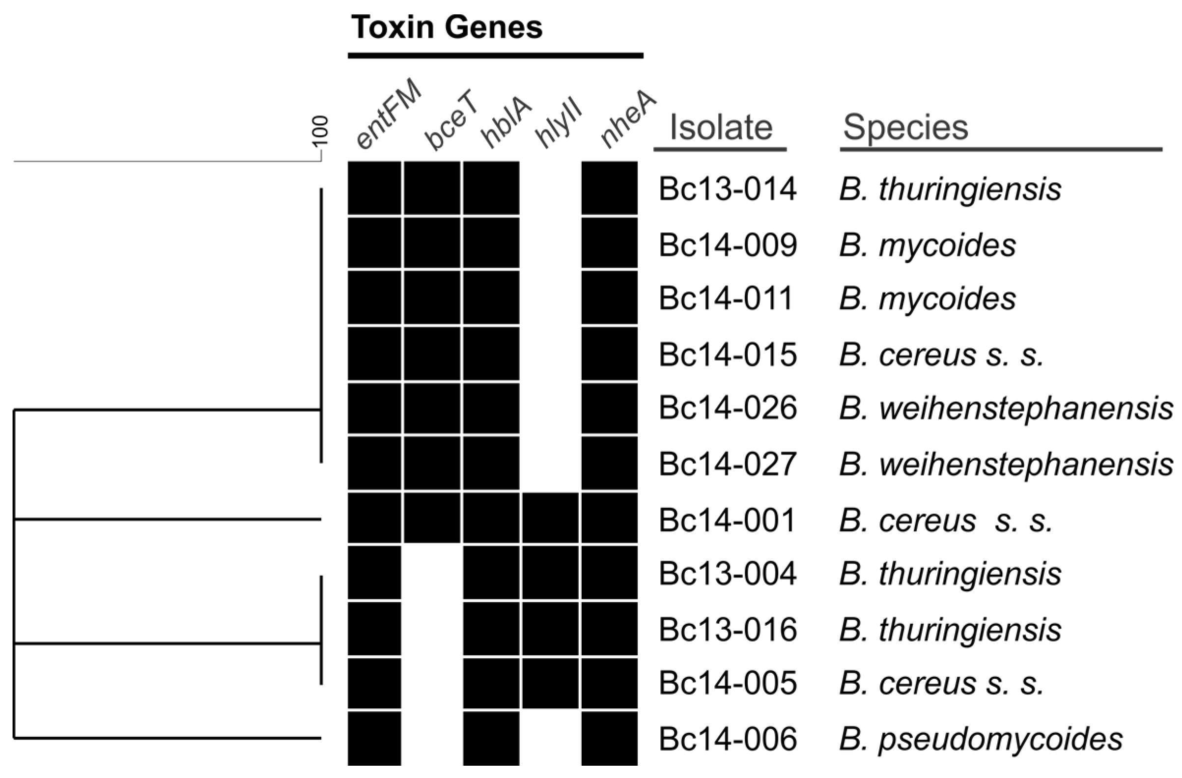 Toxins 09 00225 g001