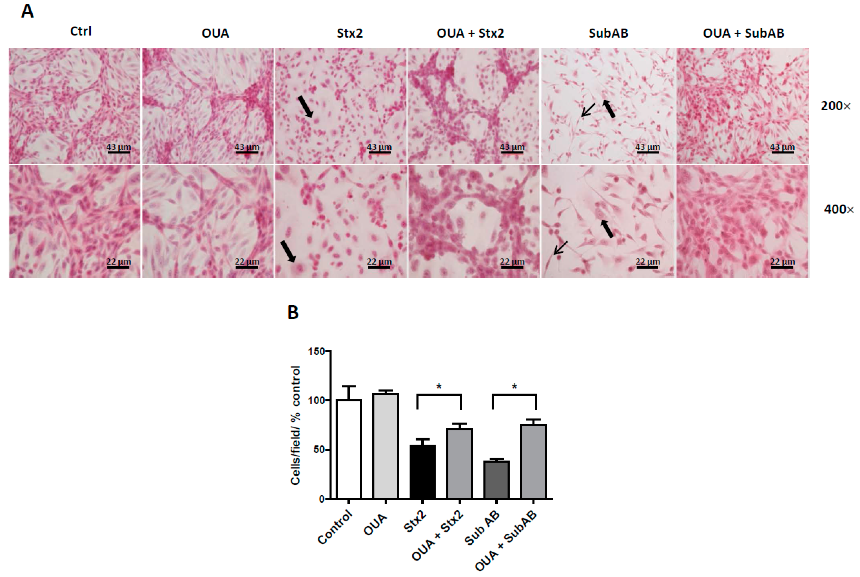 Toxins 09 00226 g003