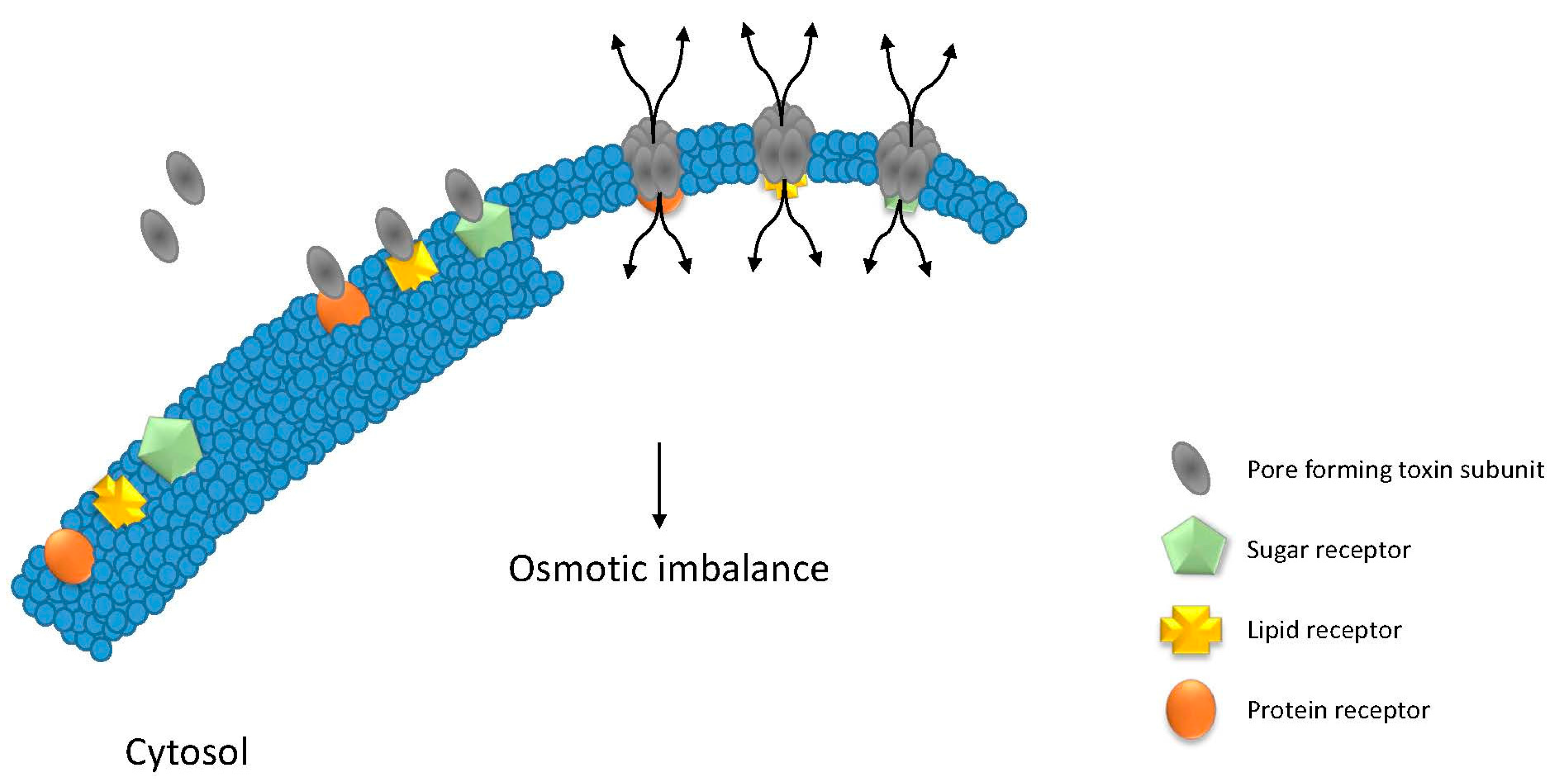 Toxins 09 00236 g002