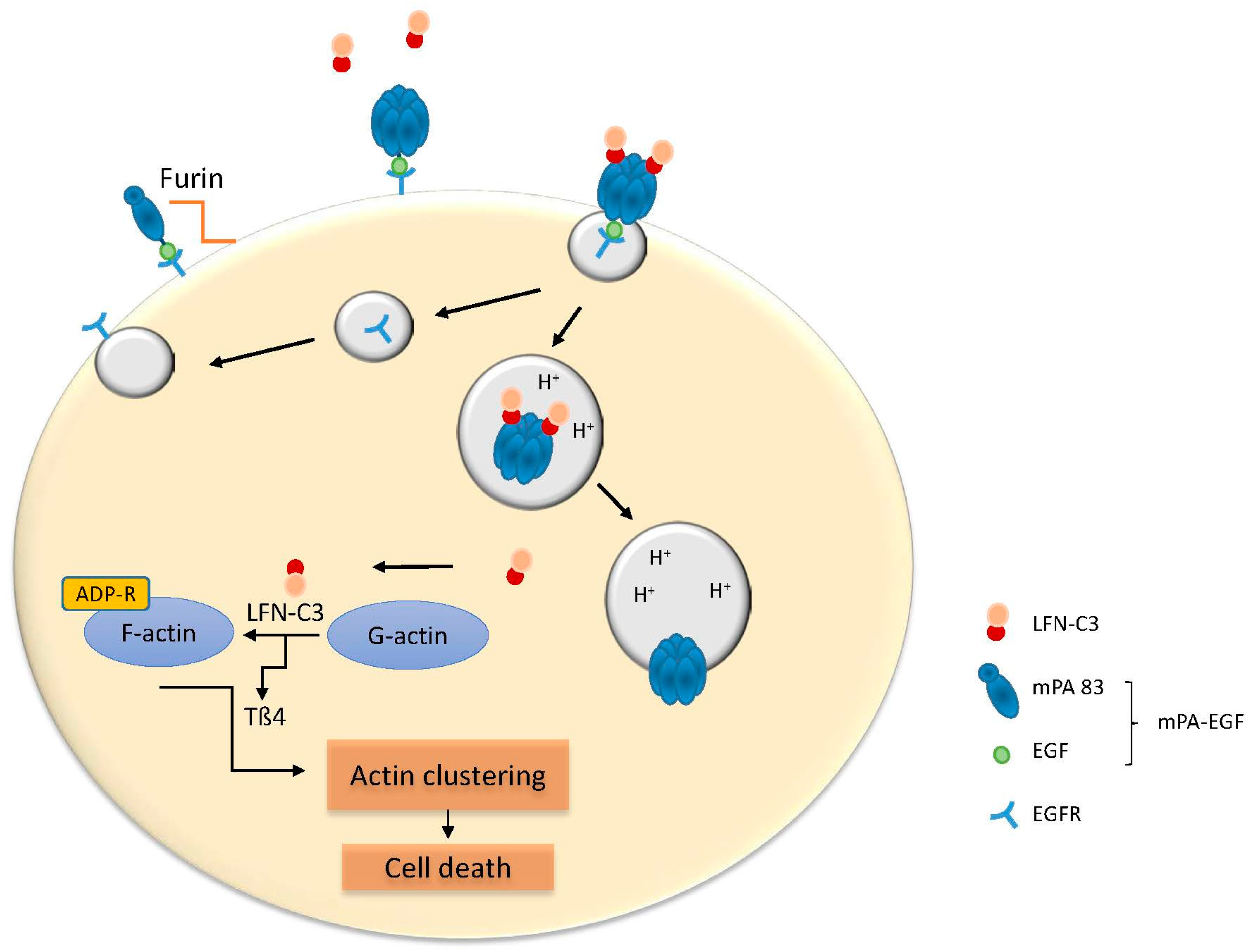 Toxins 09 00236 g003