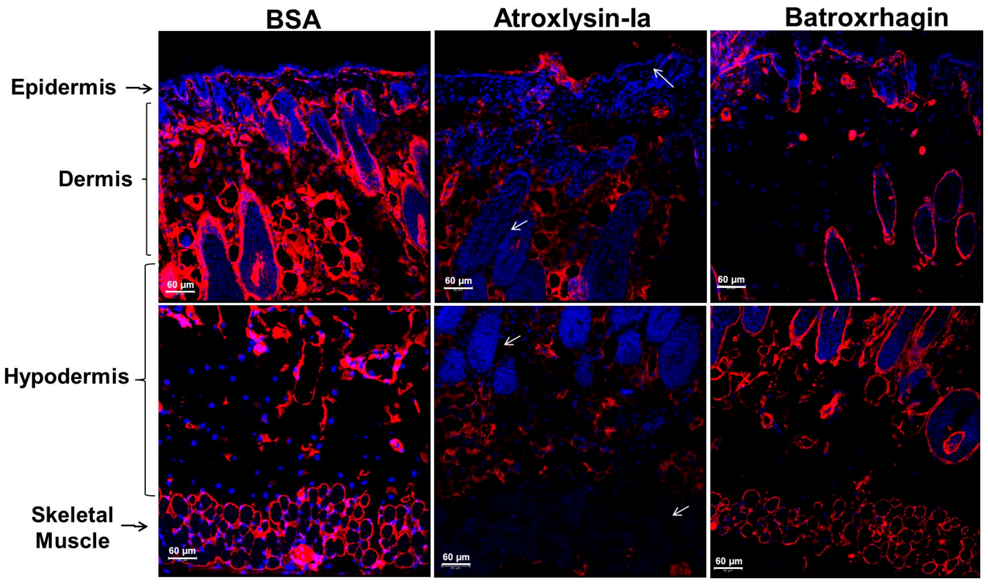 Toxins 09 00239 g010