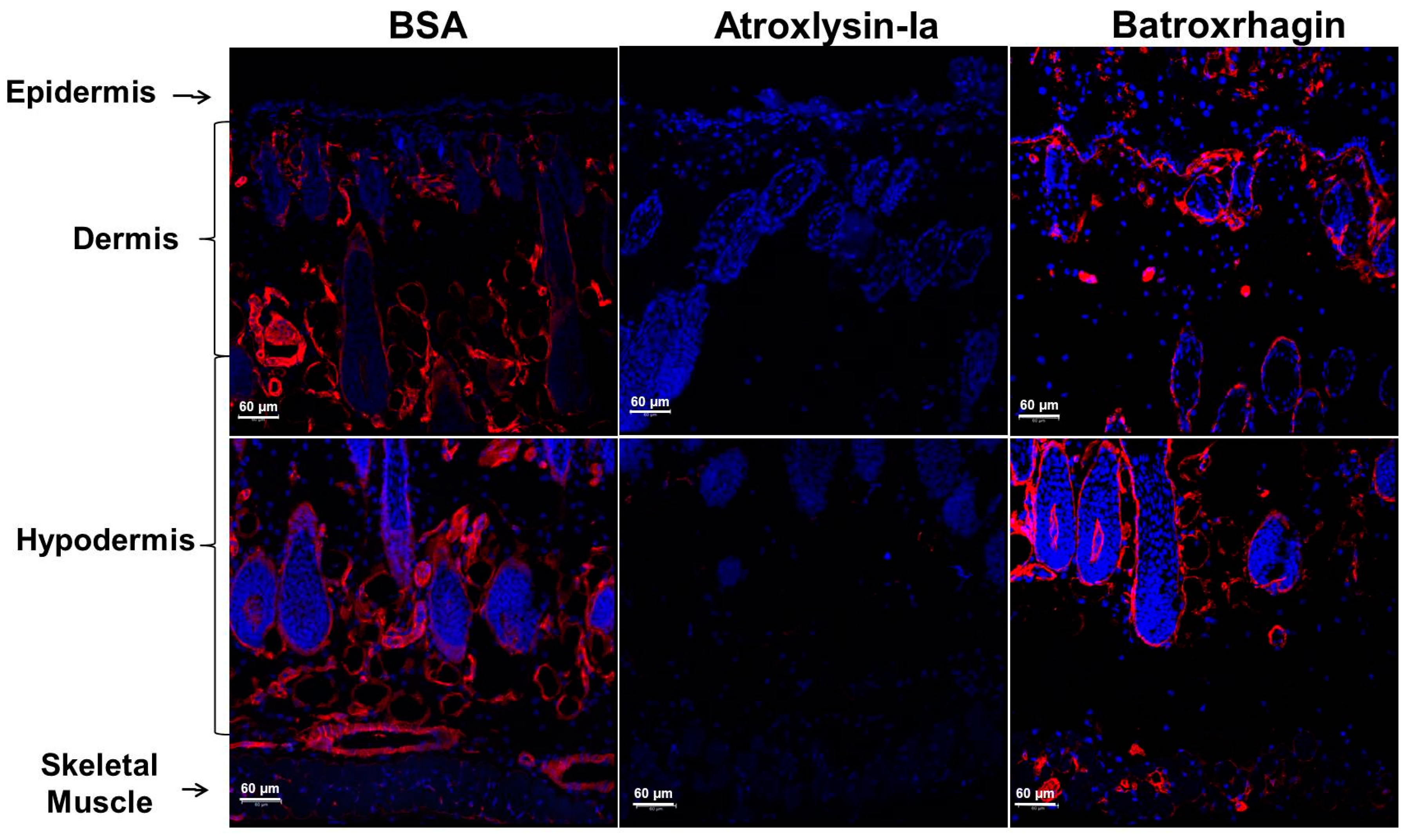 Toxins 09 00239 g011