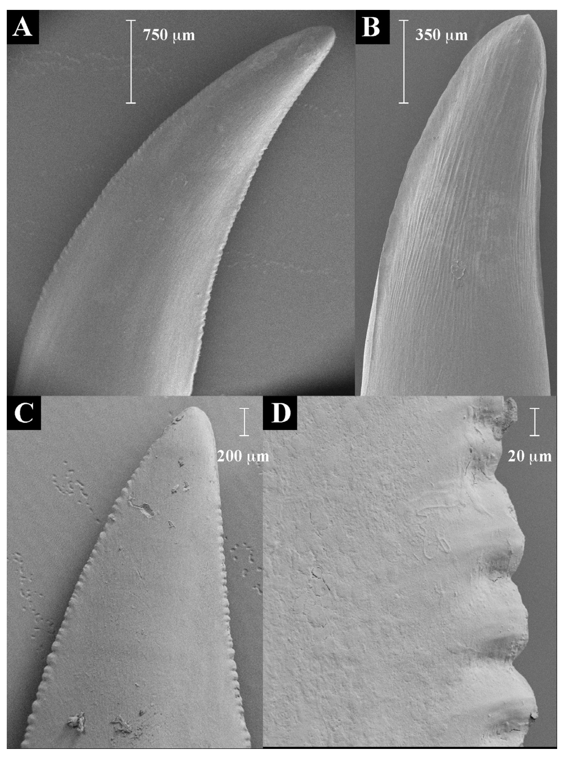 Toxins 09 00242 g002