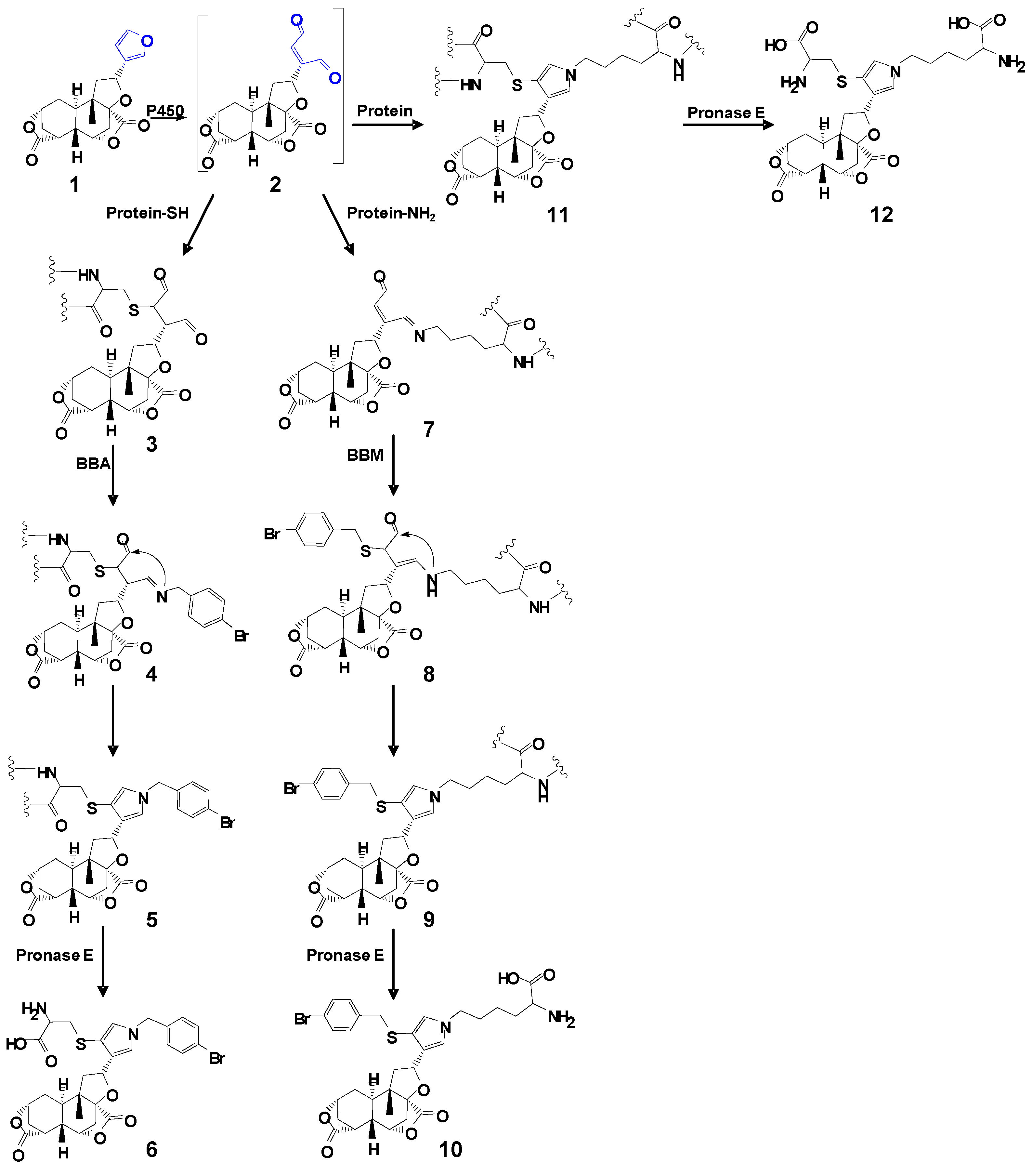 Toxins 09 00249 sch001