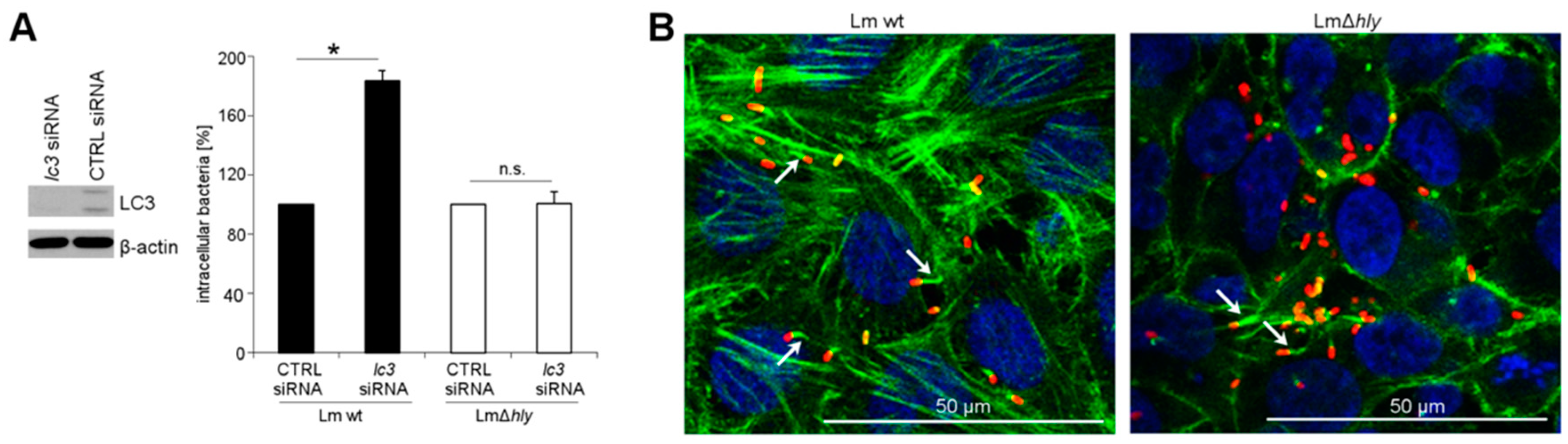 Toxins 09 00273 g001