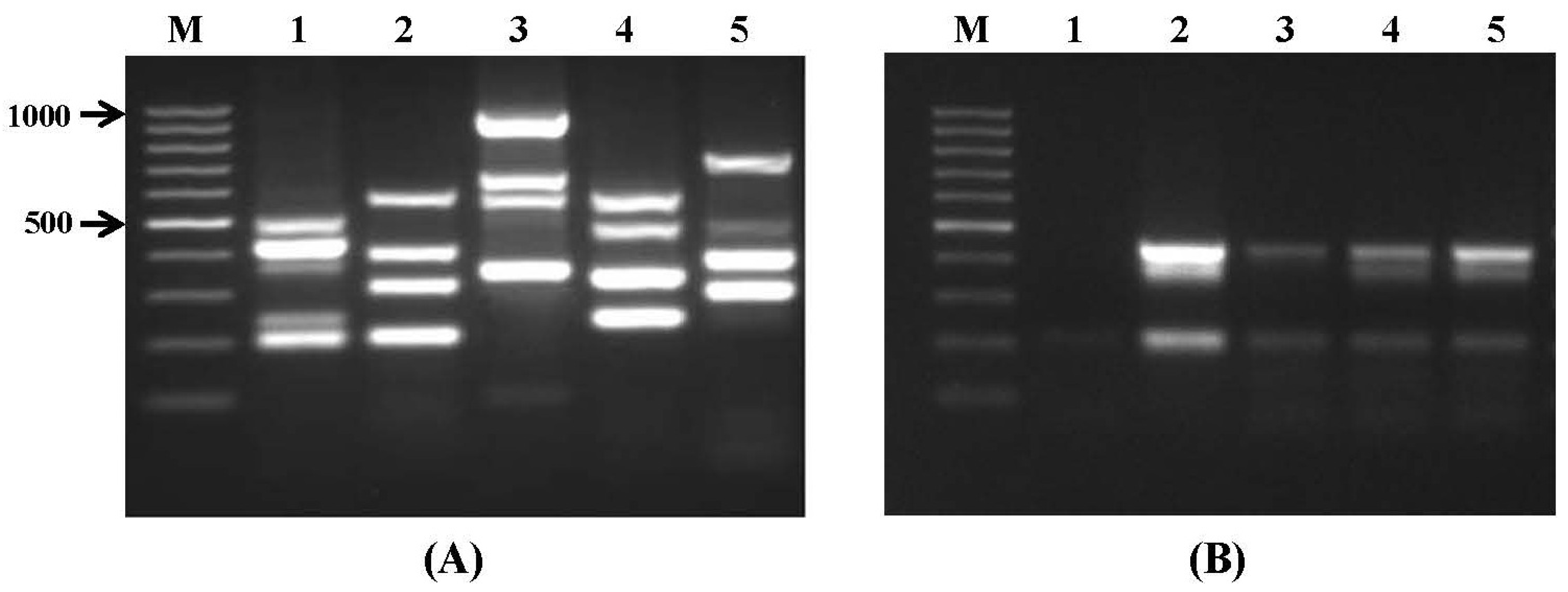 Toxins 09 00302 g001