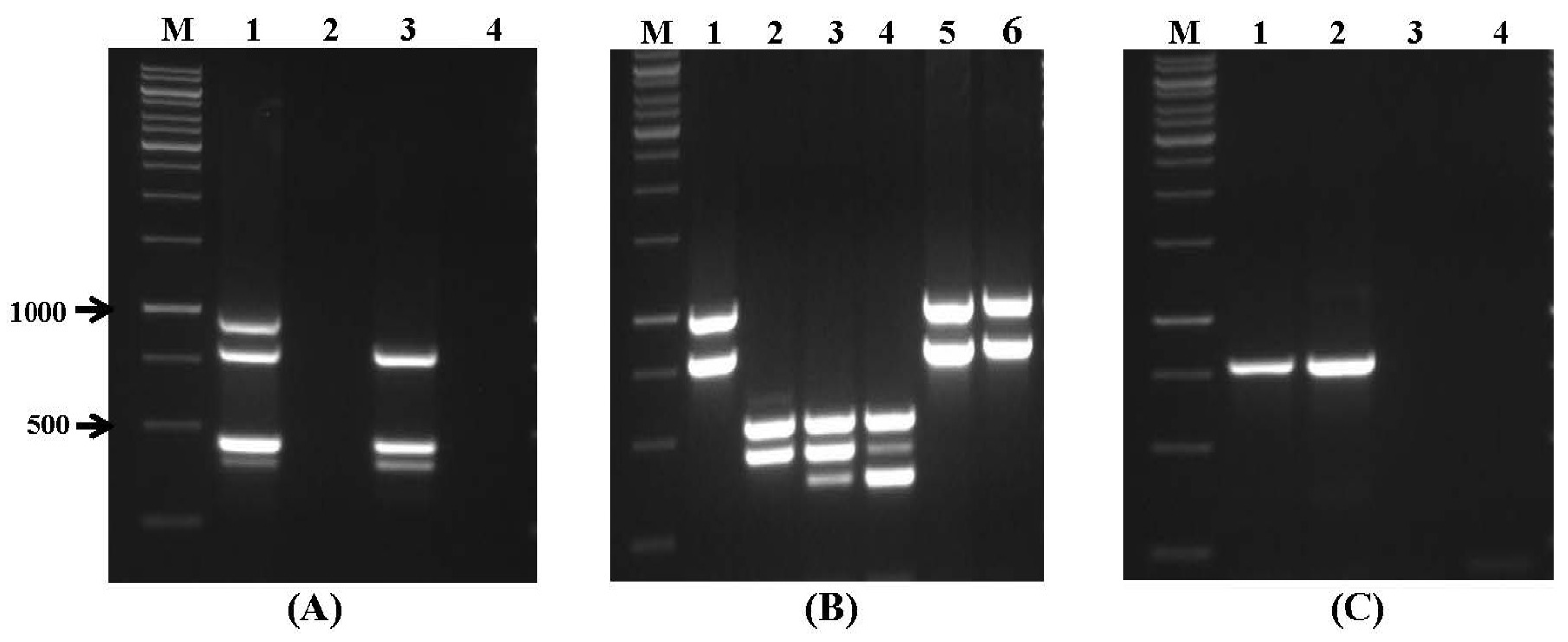 Toxins 09 00302 g002