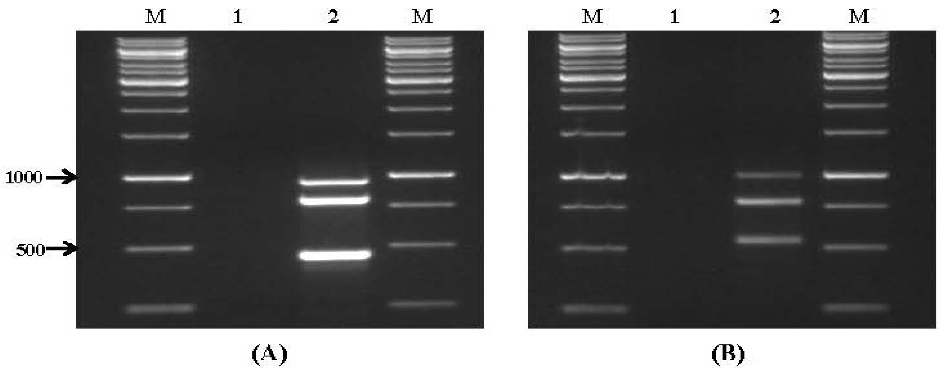 Toxins 09 00302 g003