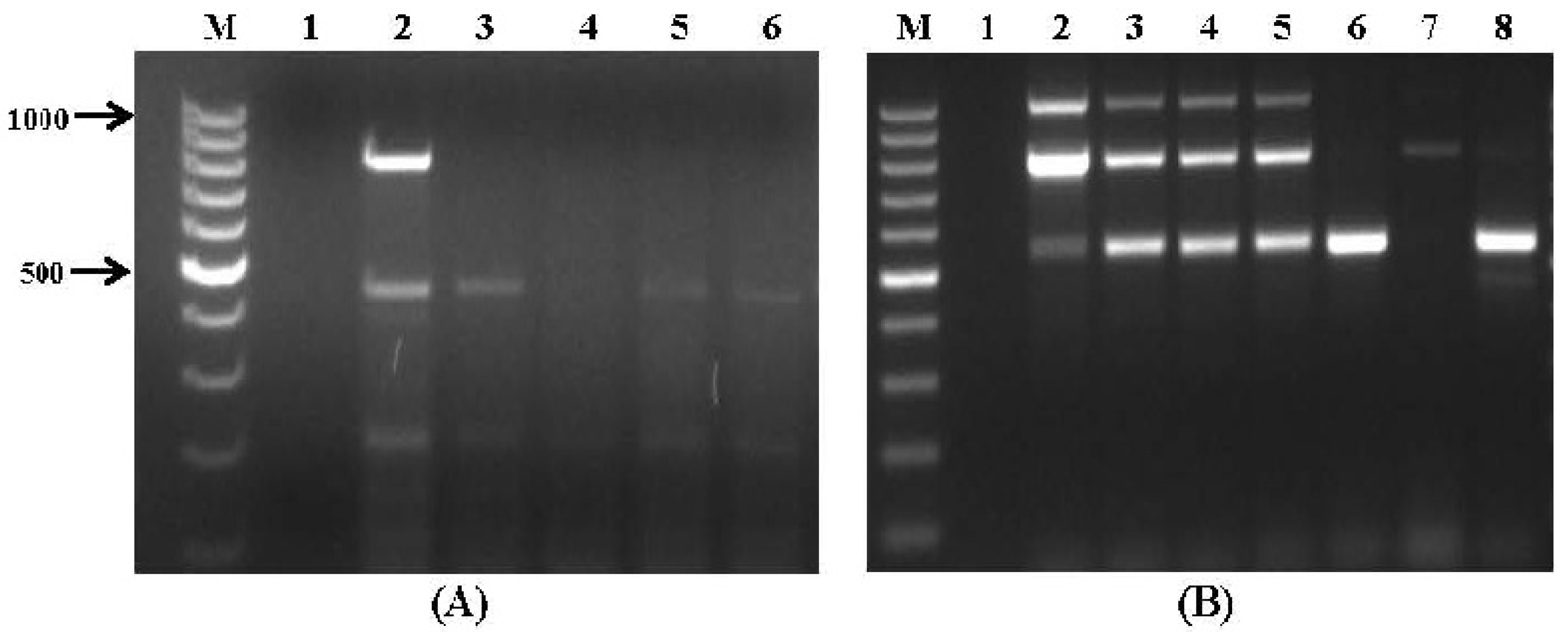 Toxins 09 00302 g004