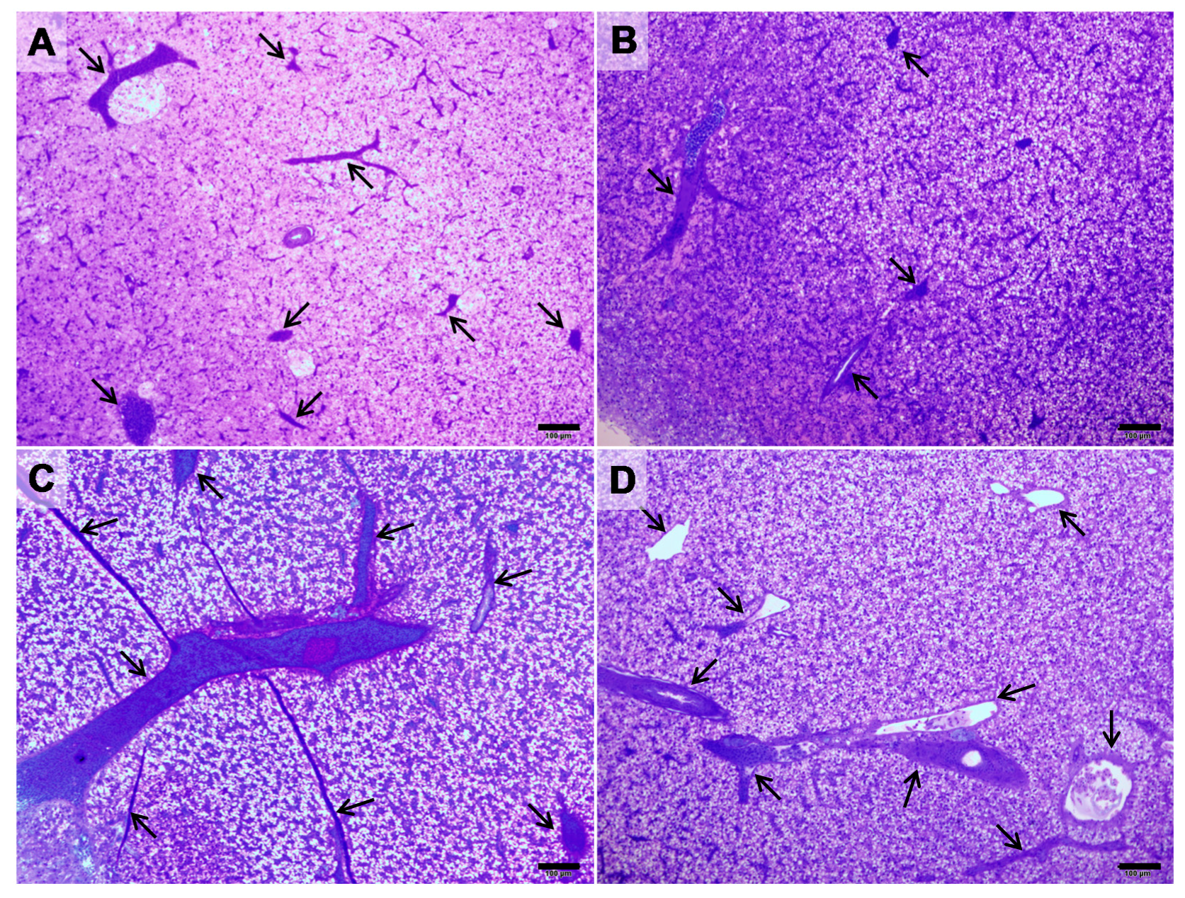 Toxins 09 00307 g001