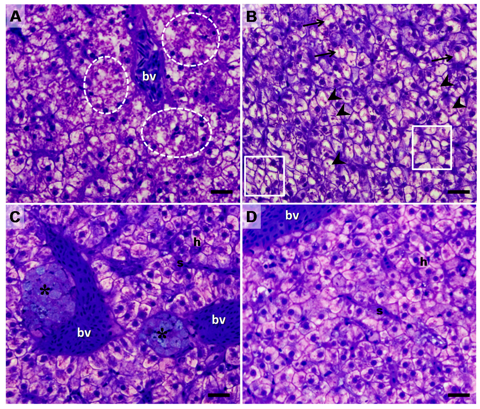 Toxins 09 00307 g002