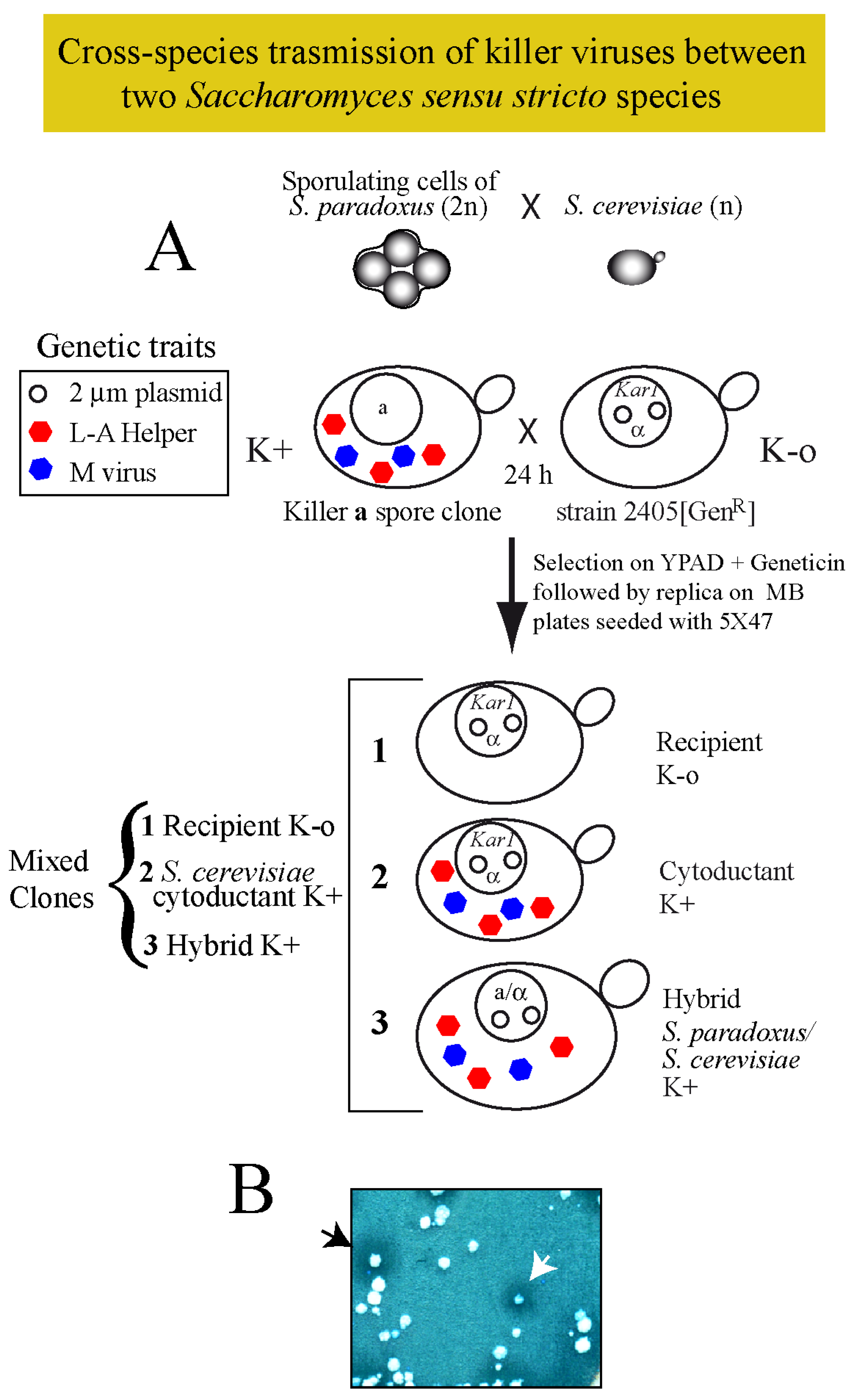 Toxins 09 00313 g003