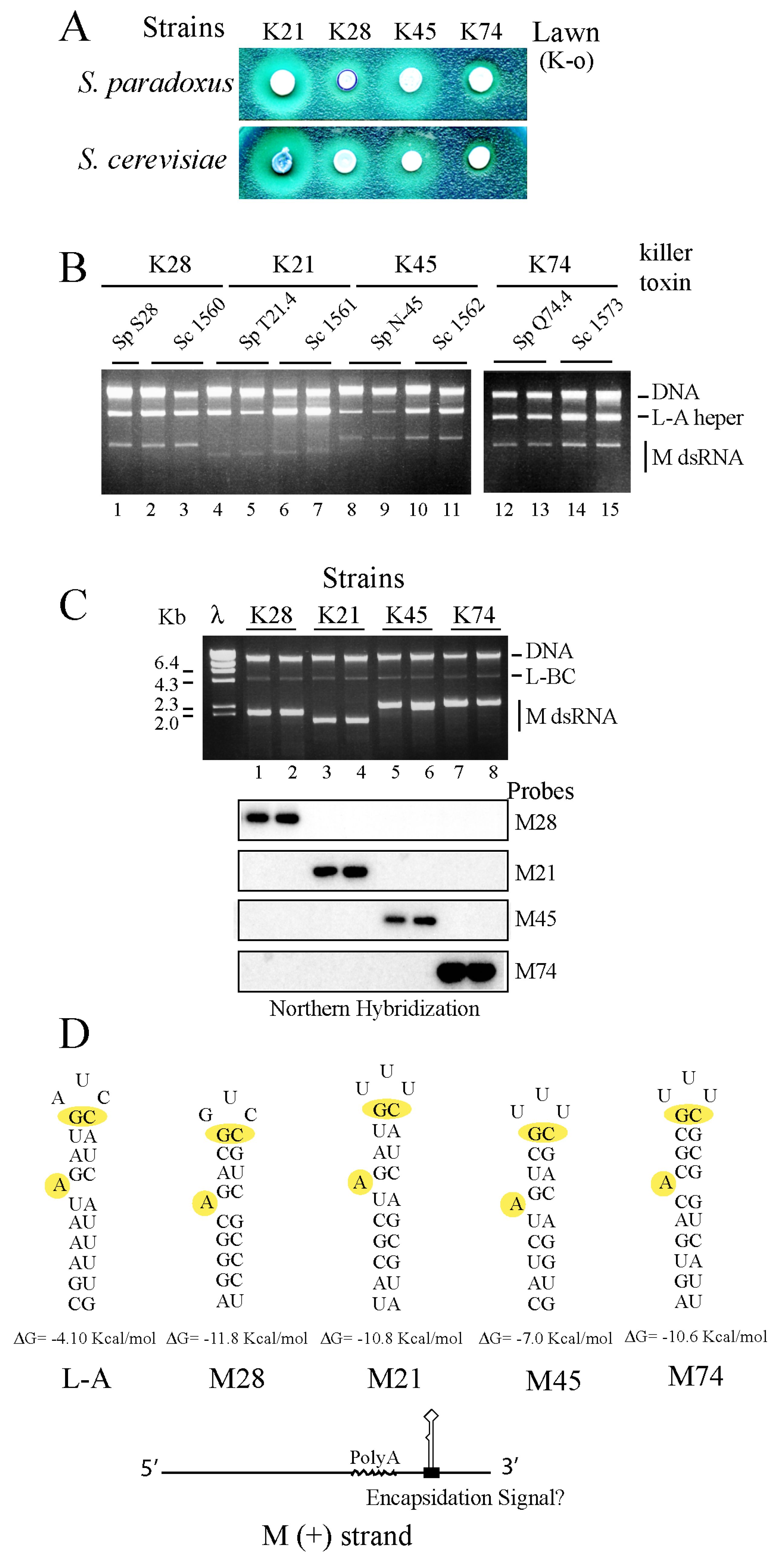 Toxins 09 00313 g004