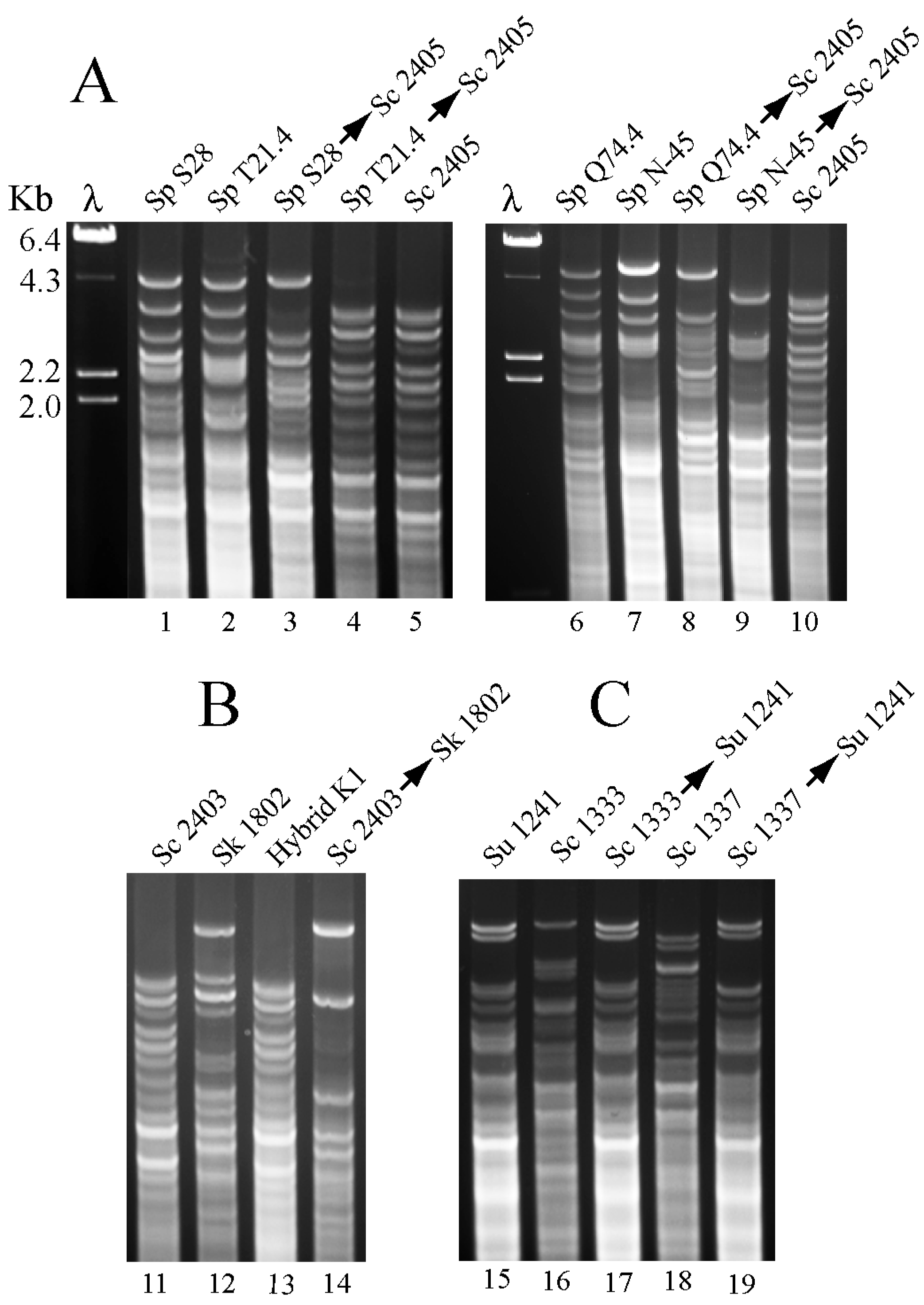 Toxins 09 00313 g005