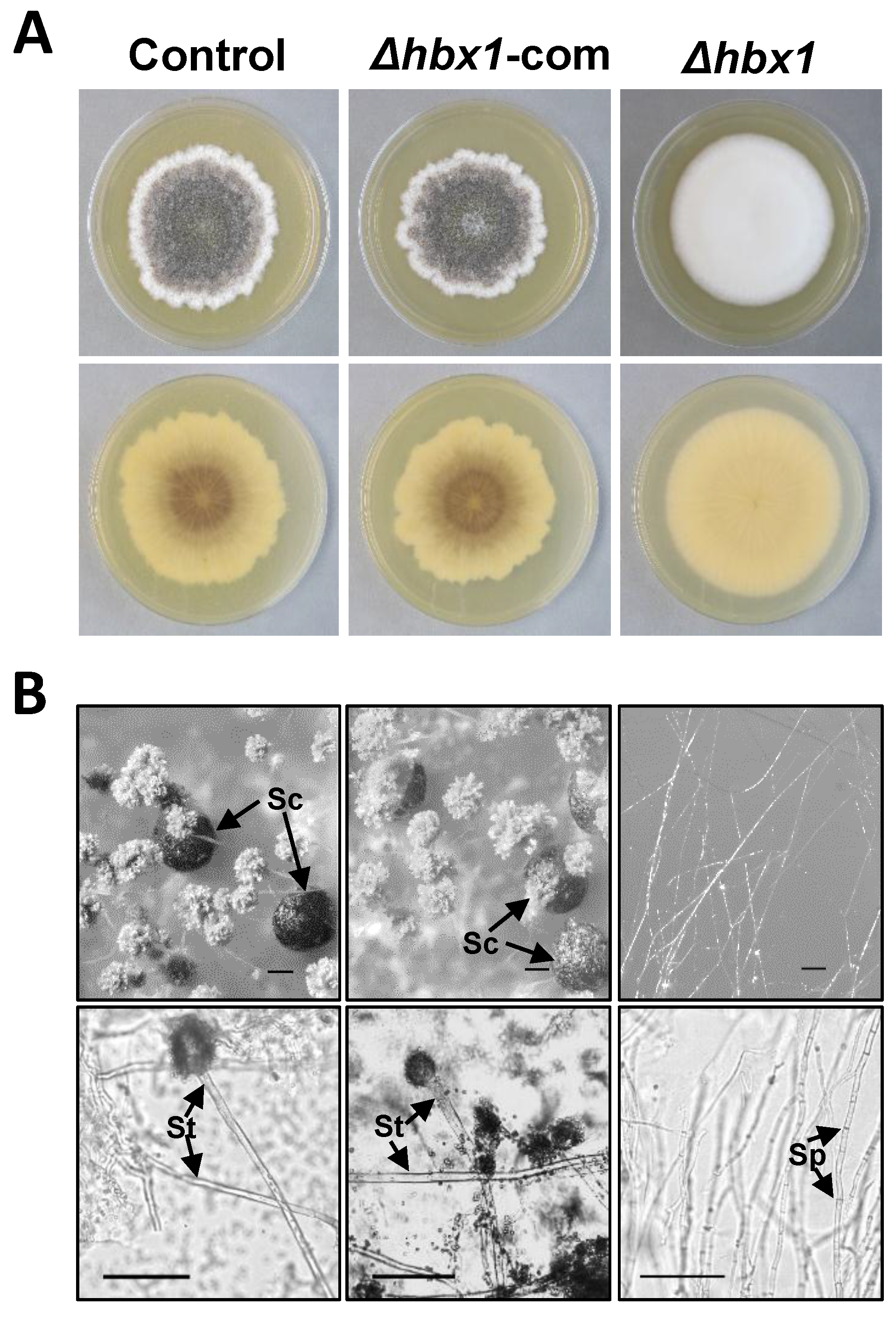Toxins 09 00315 g004