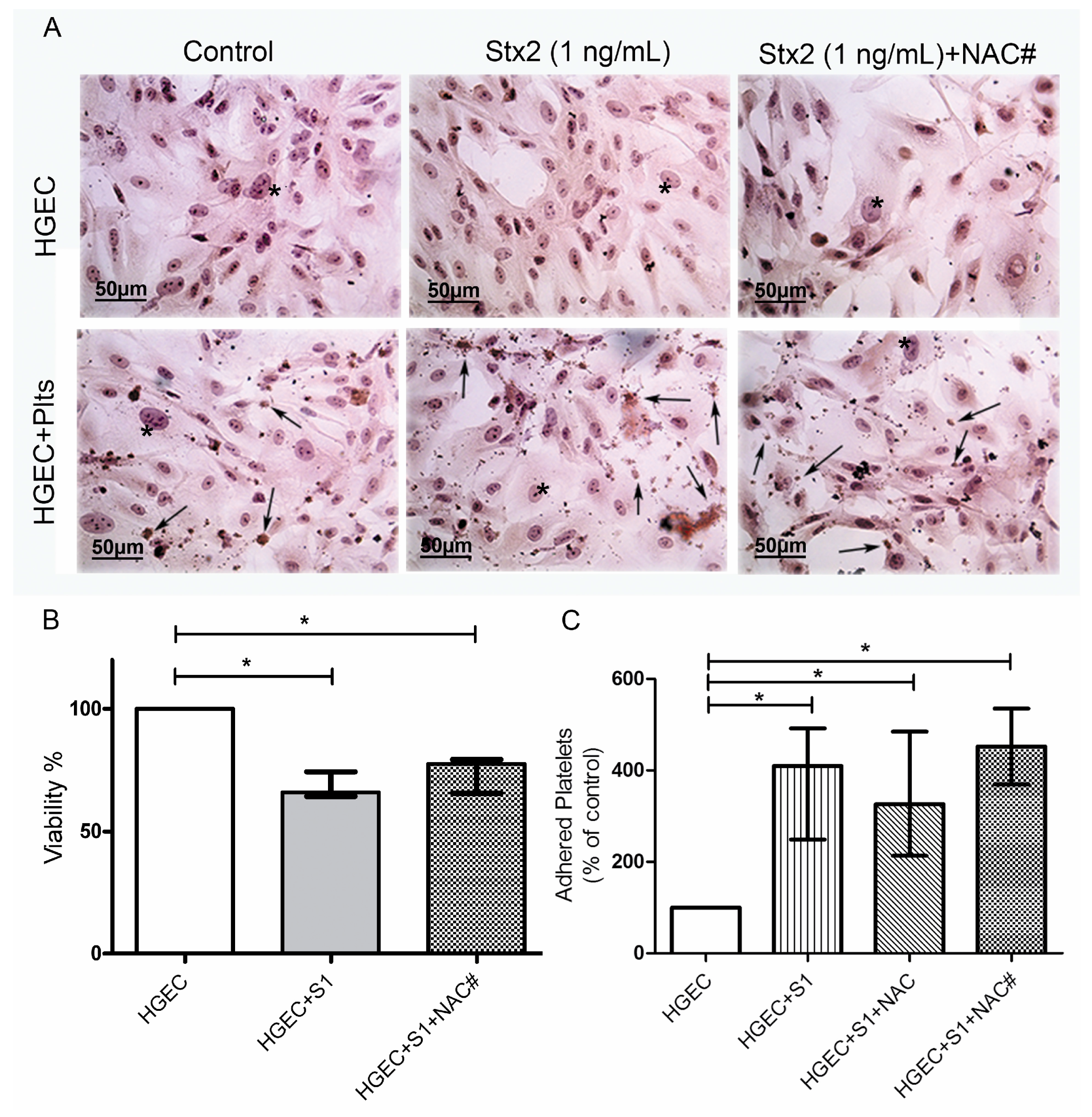 Toxins 09 00331 g004