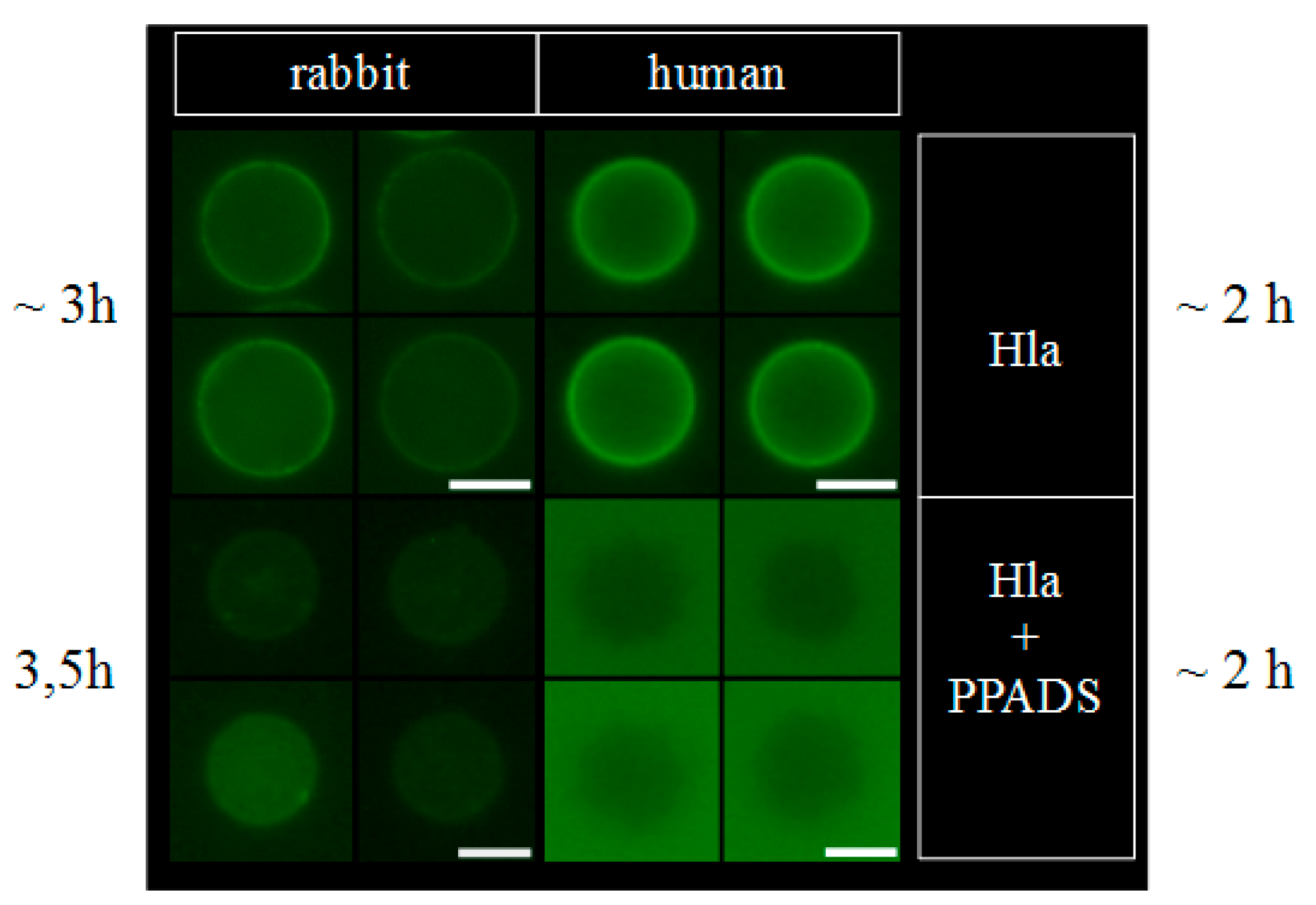 Toxins 09 00332 g004
