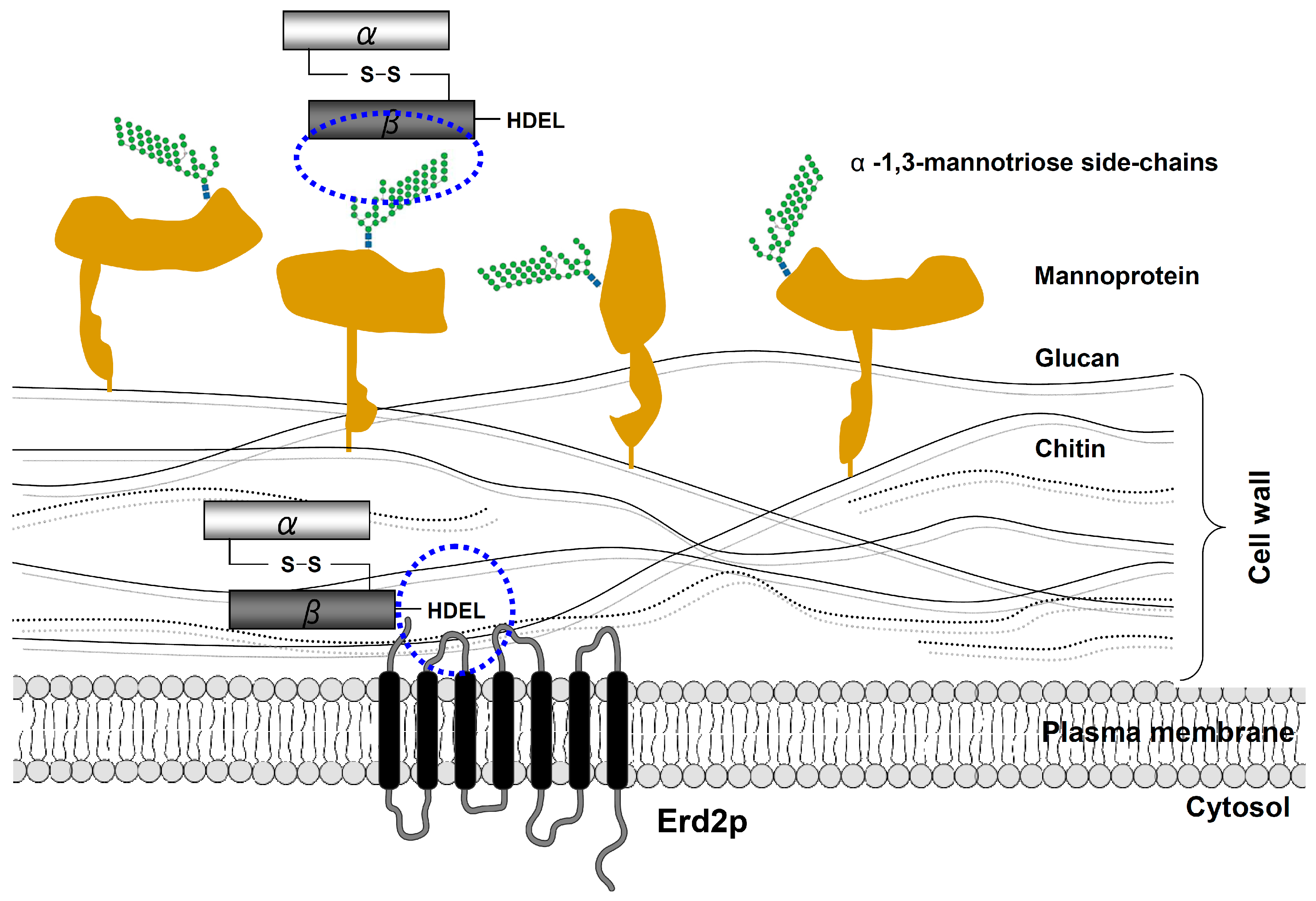 Toxins 09 00333 g004