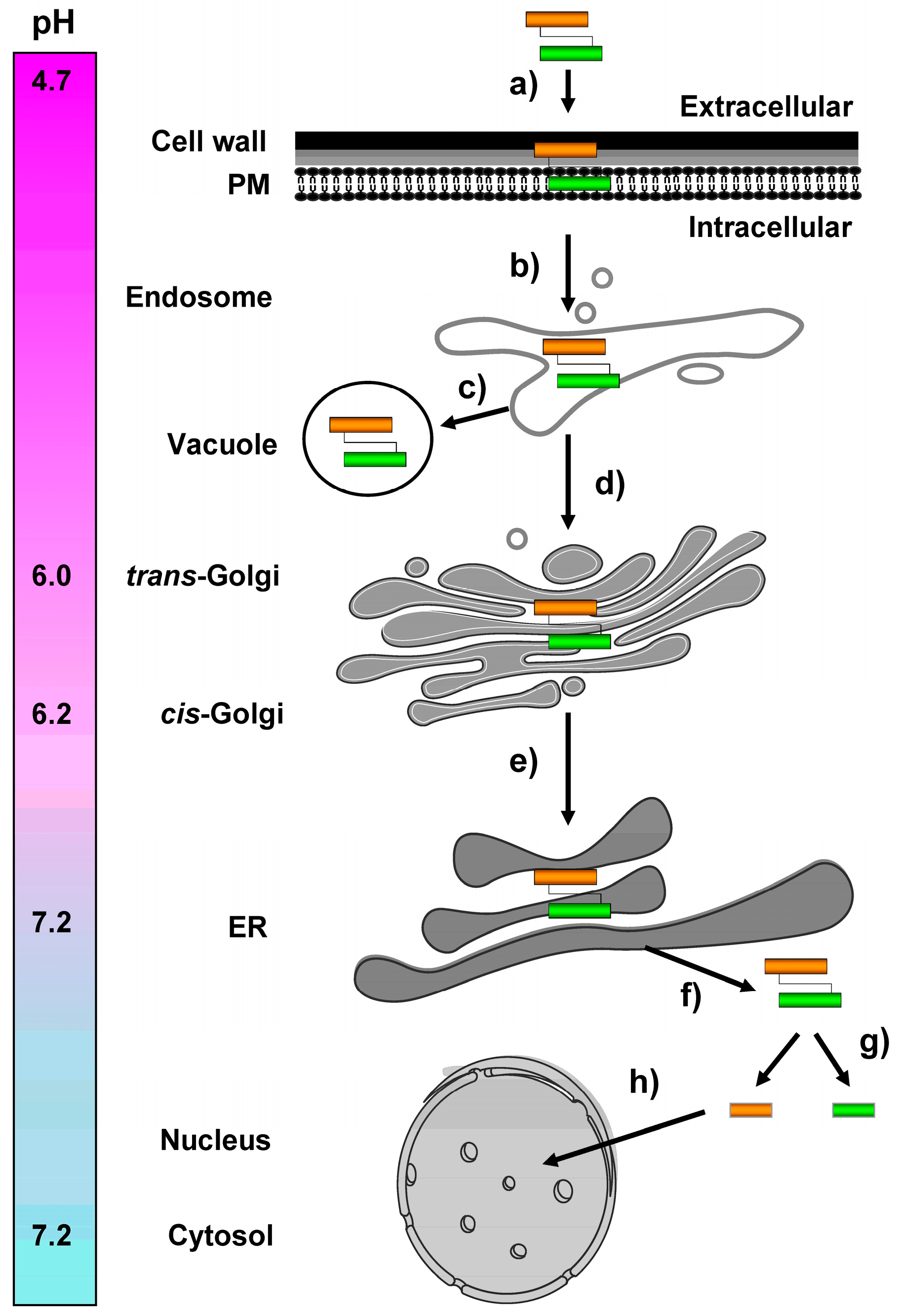 Toxins 09 00333 g005
