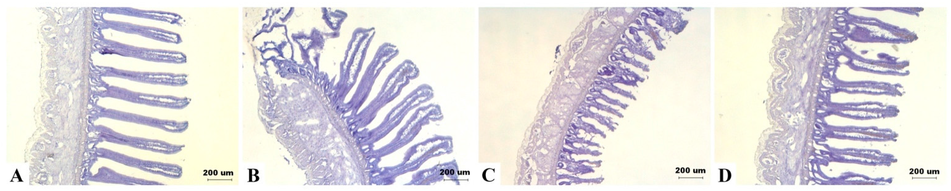 Toxins 09 00334 g005 Toxins 09 00334 g005