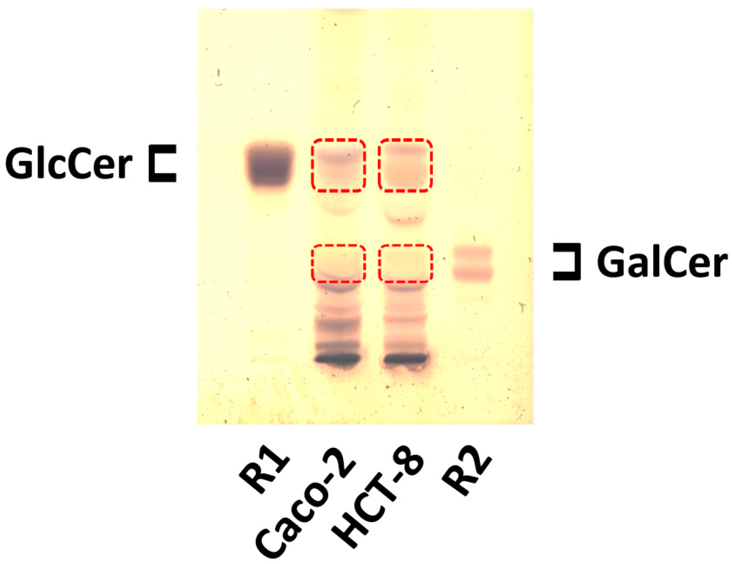 Toxins 09 00338 g003 Toxins 09 00338 g003