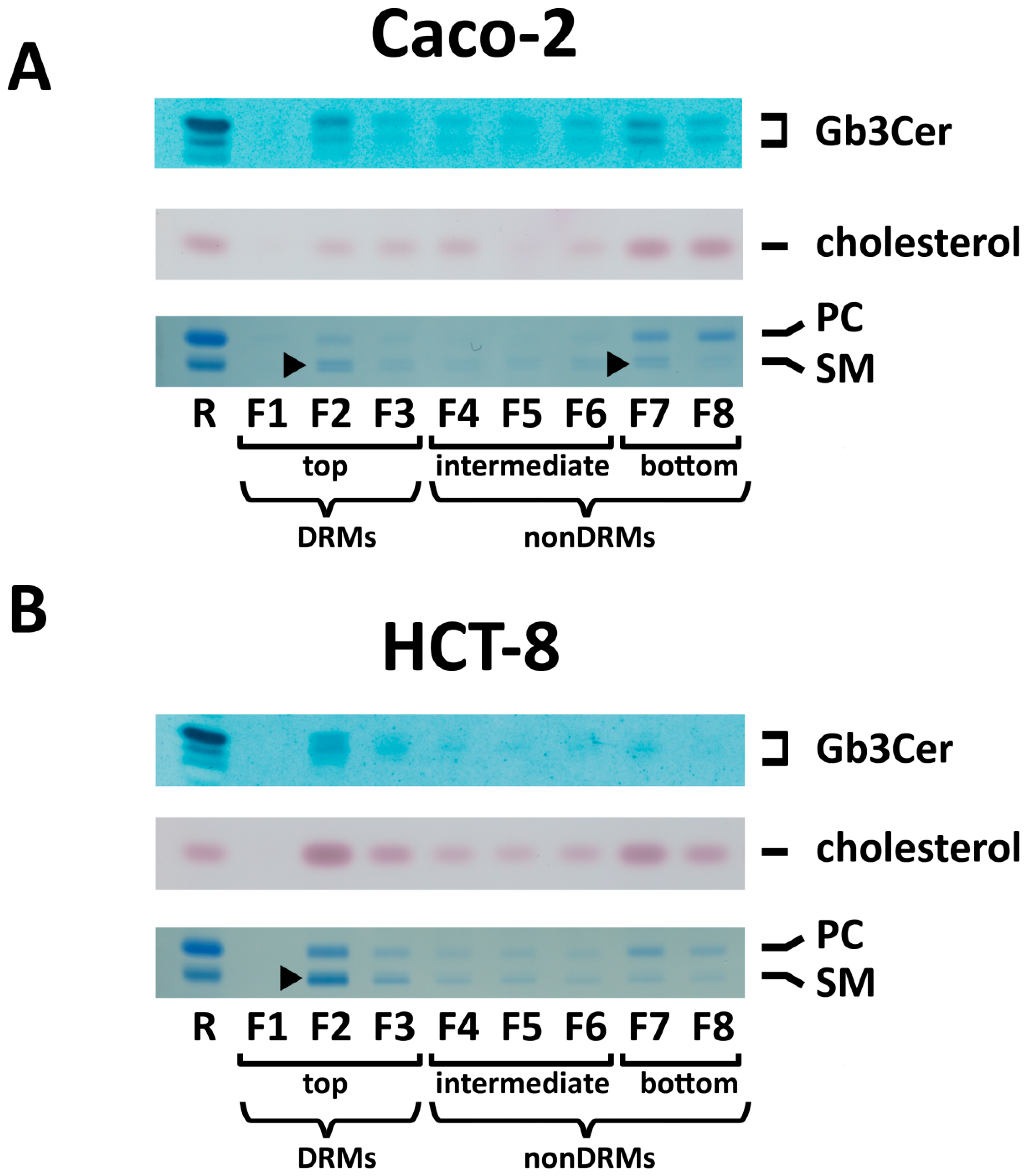 Toxins 09 00338 g008 Toxins 09 00338 g008