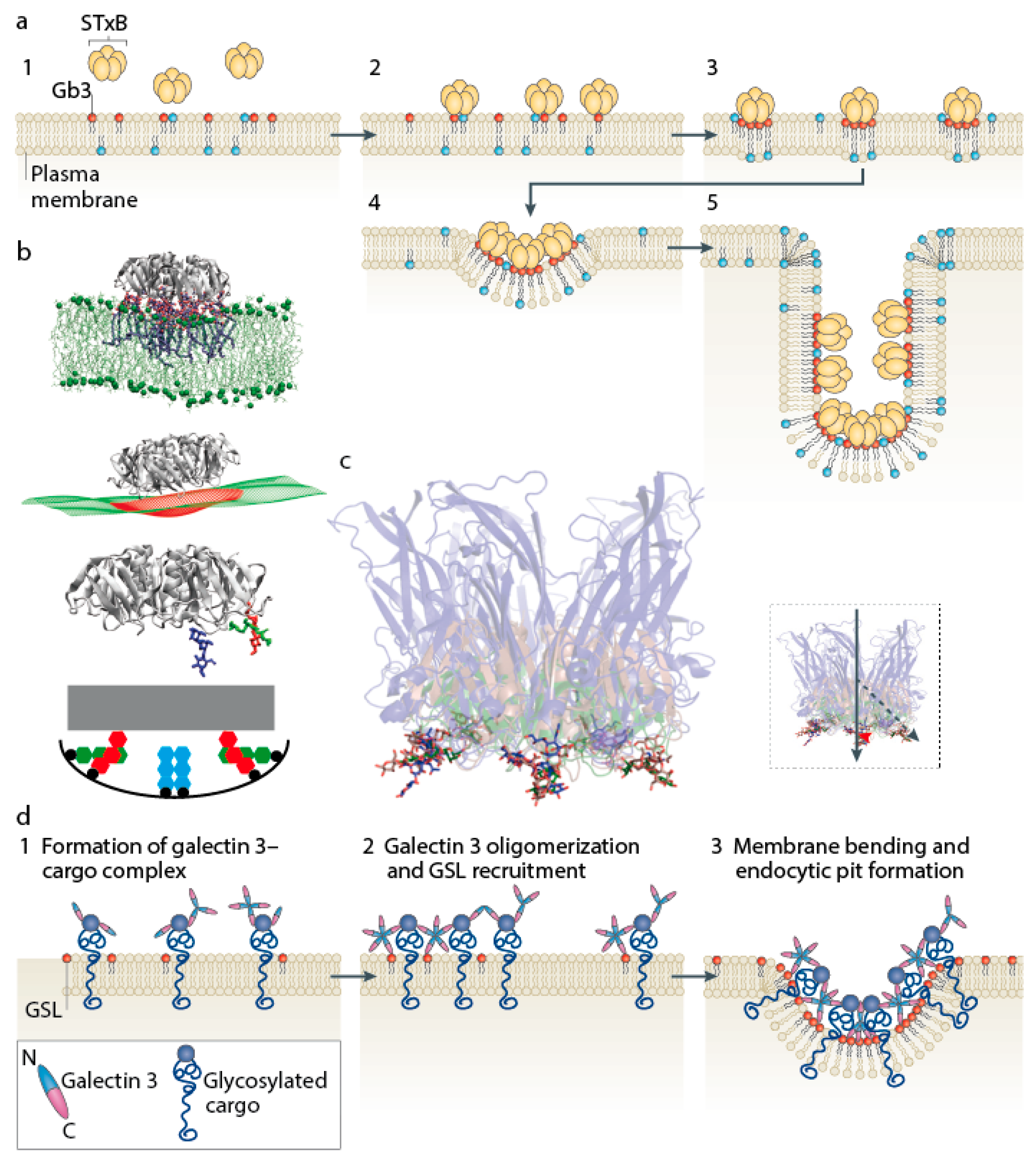 Toxins 09 00340 g003