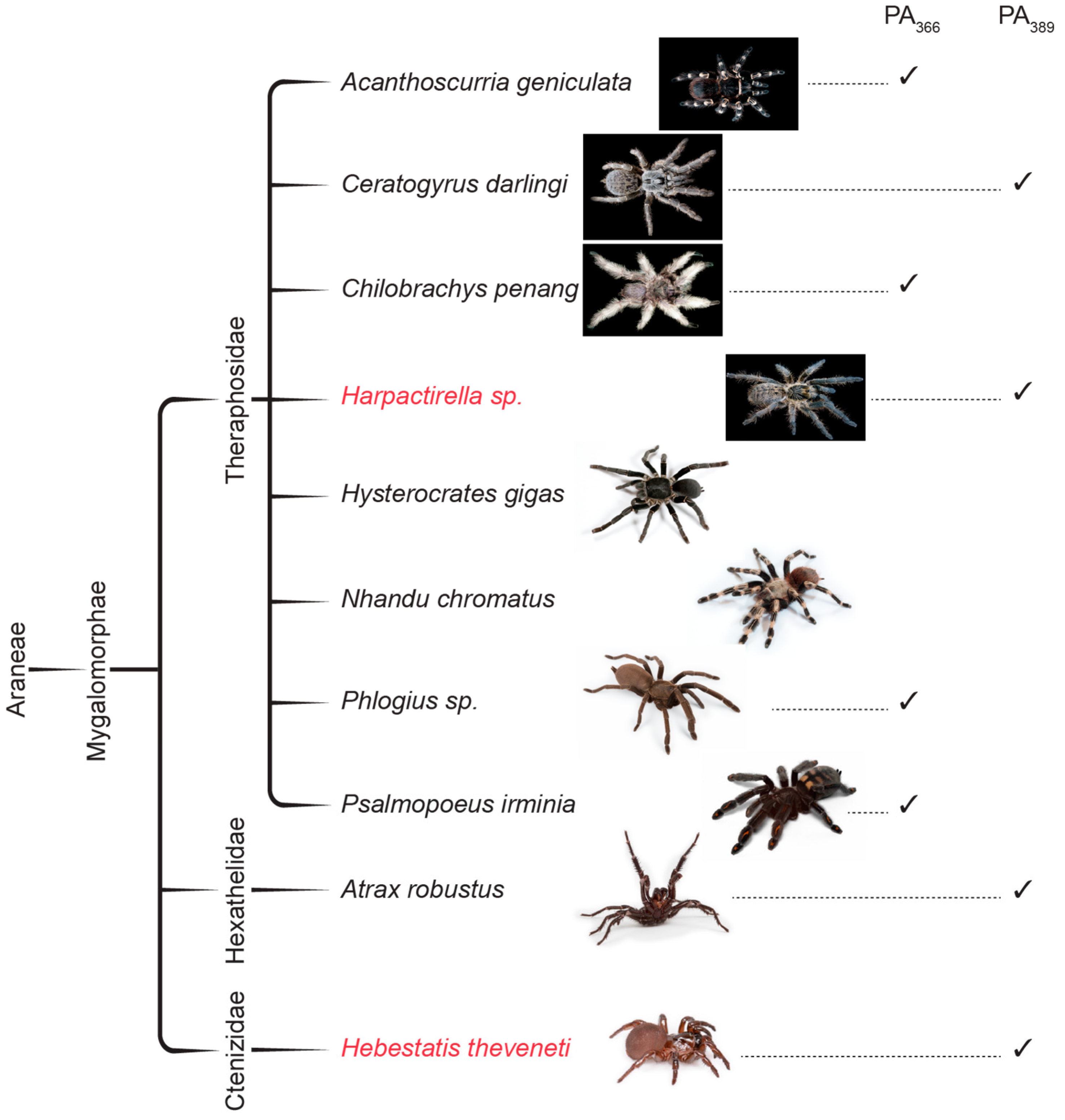 Toxins 09 00346 g007