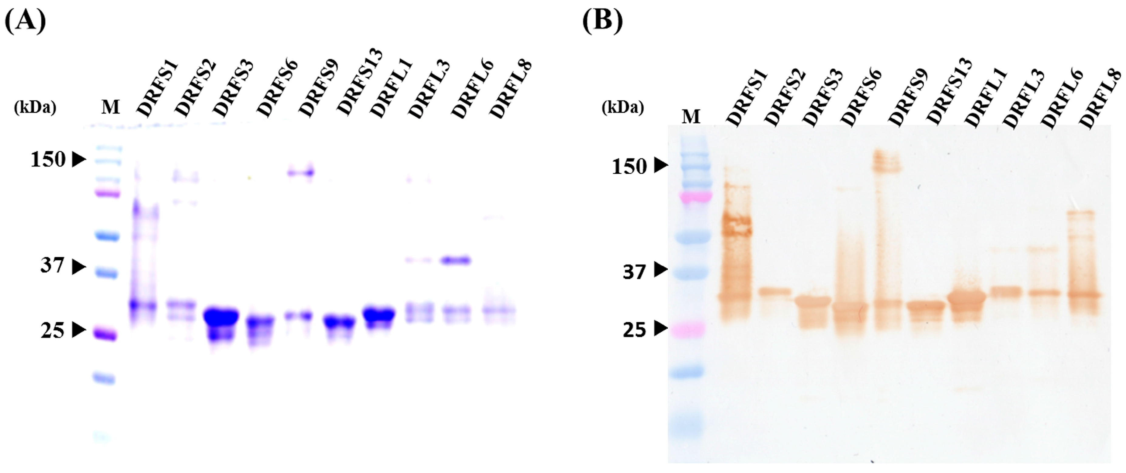 Toxins 09 00347 g004