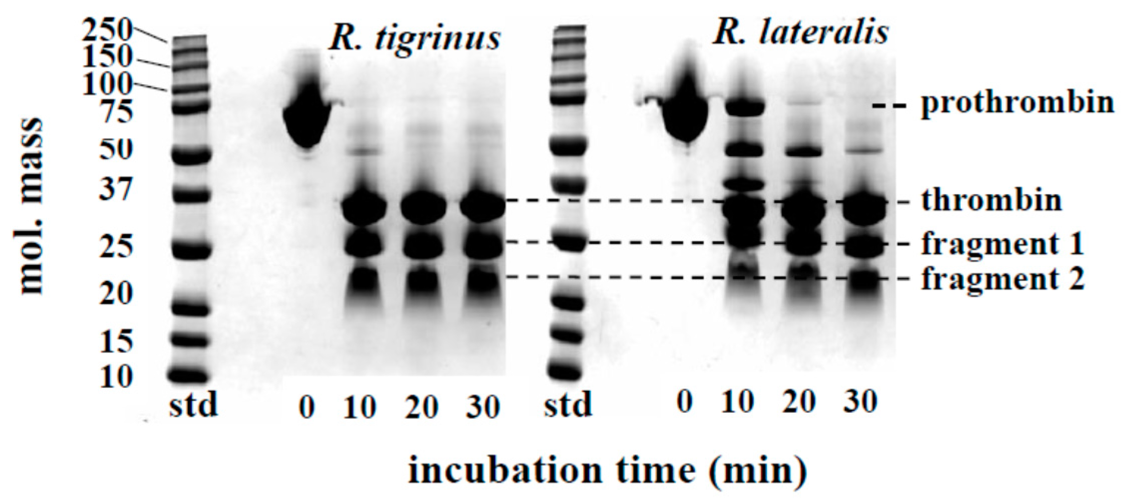 Toxins 09 00373 g002