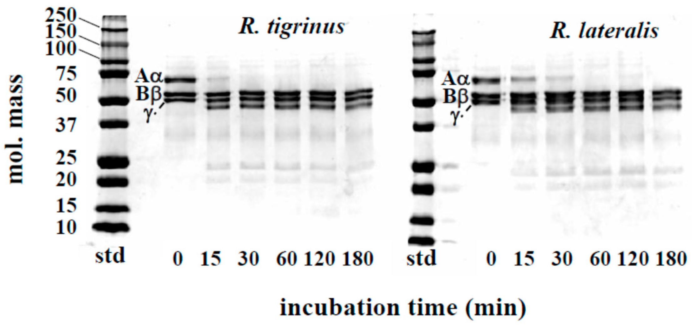 Toxins 09 00373 g003