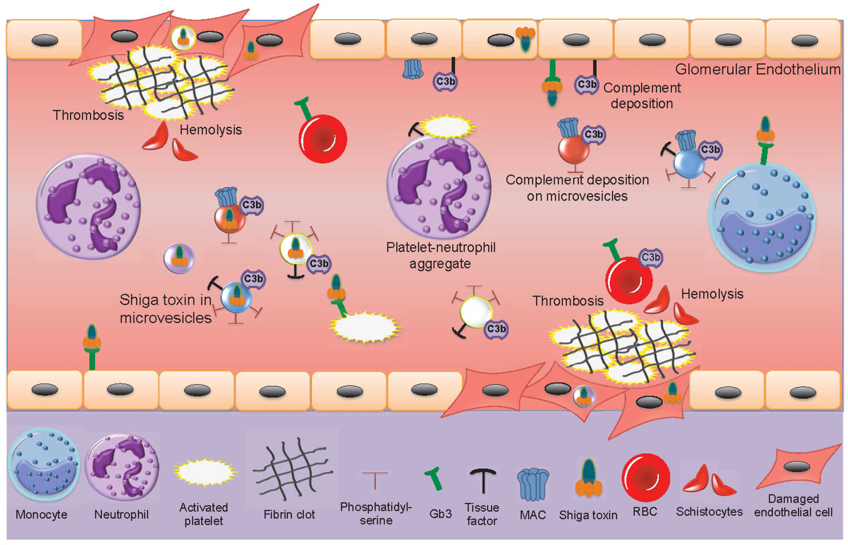 Toxins 09 00376 g003