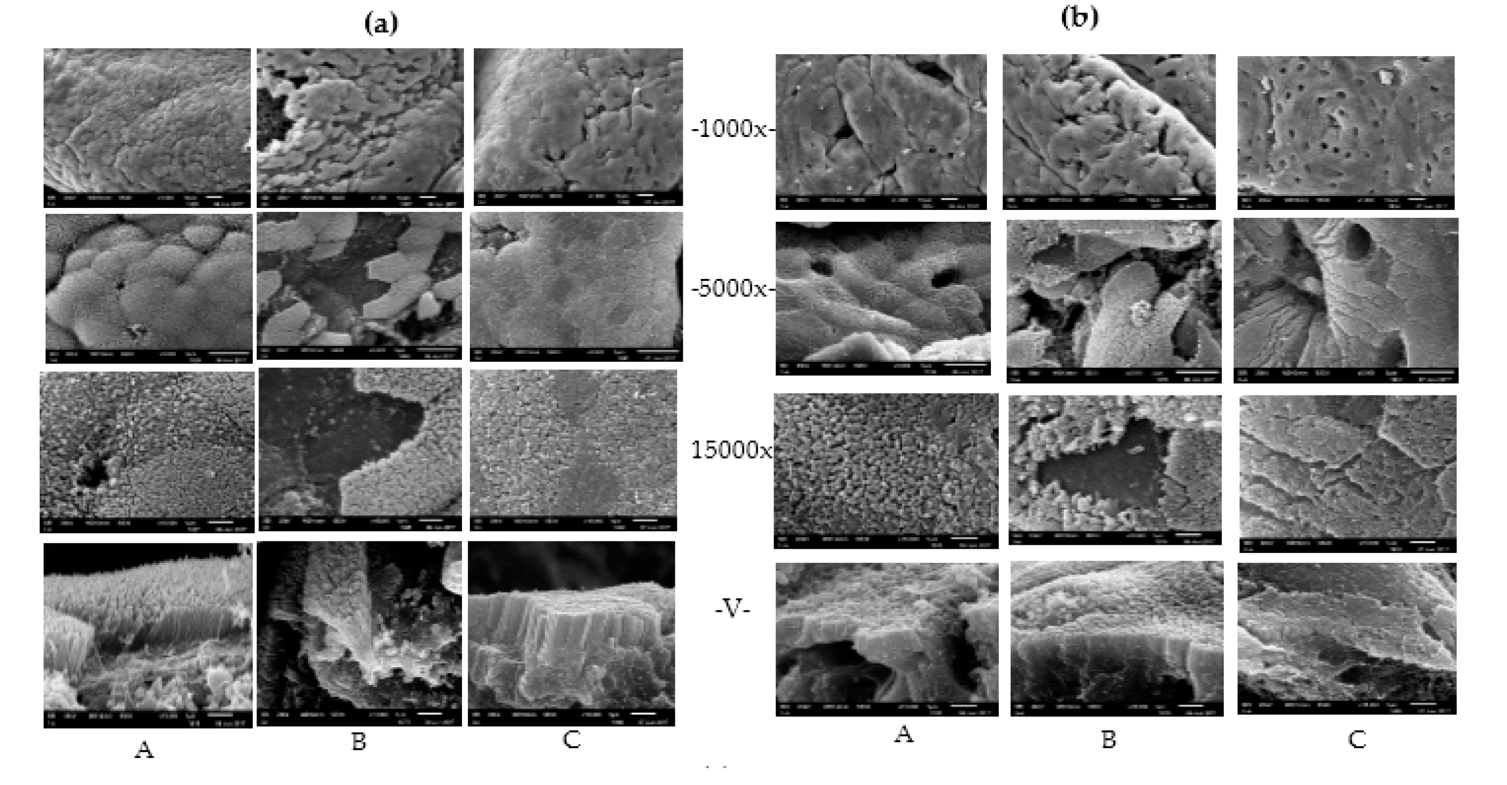 Toxins 09 00383 g002a