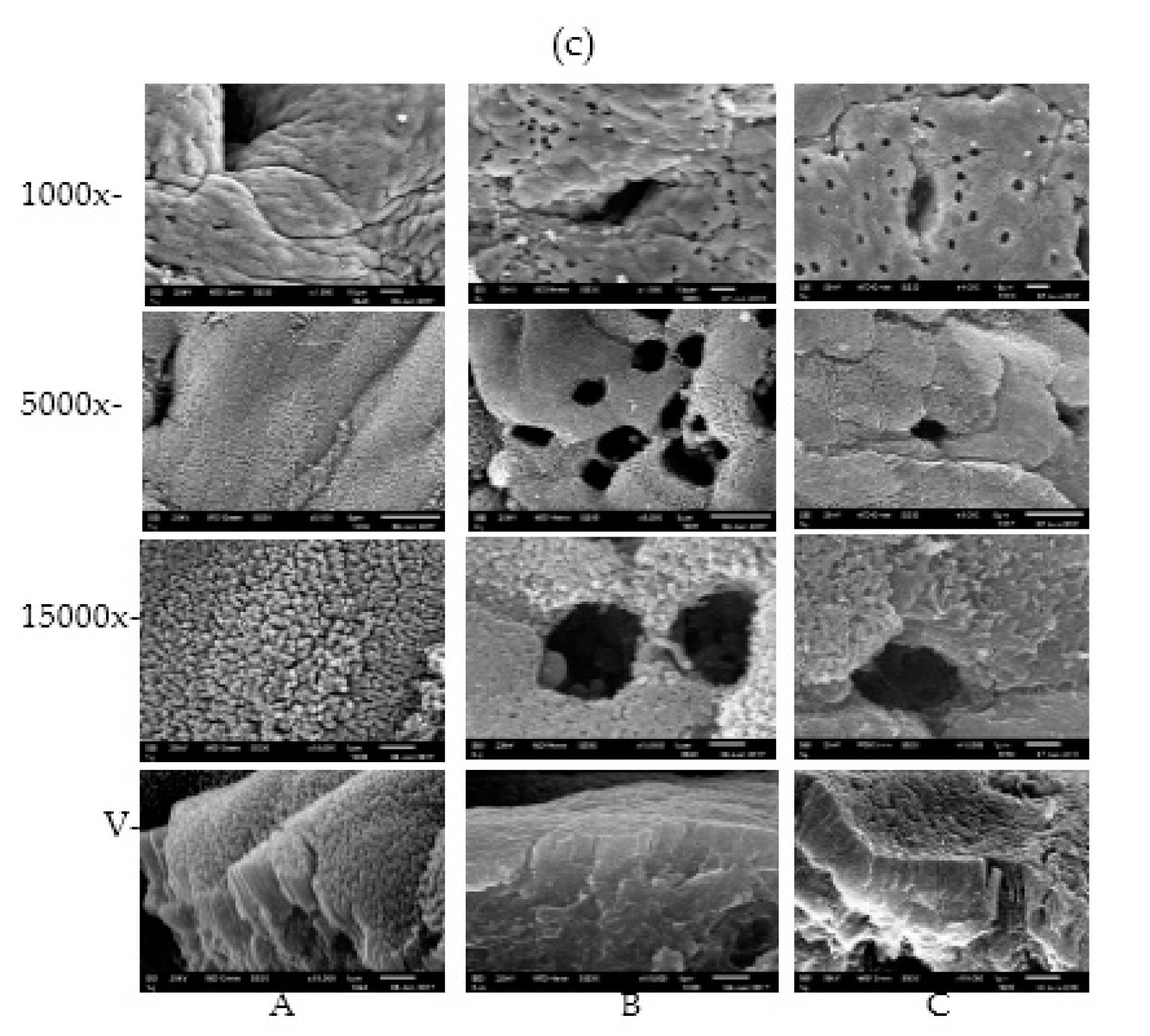Toxins 09 00383 g002b